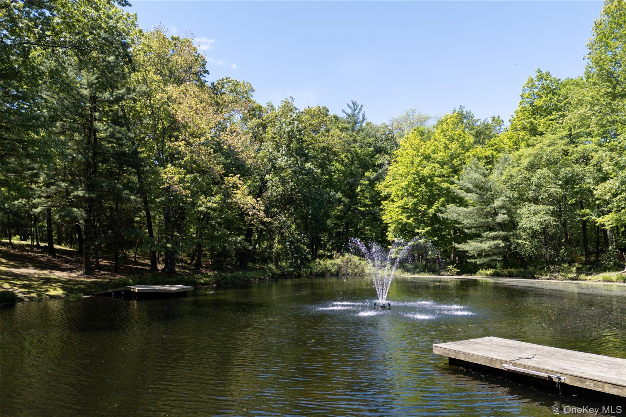 Single Family Boulevard Ulster County, NY 12401, MLS-911602-35