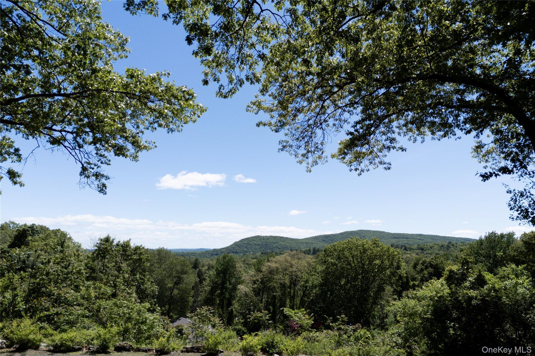 Single Family Boulevard Ulster County, NY 12401, MLS-911602-36