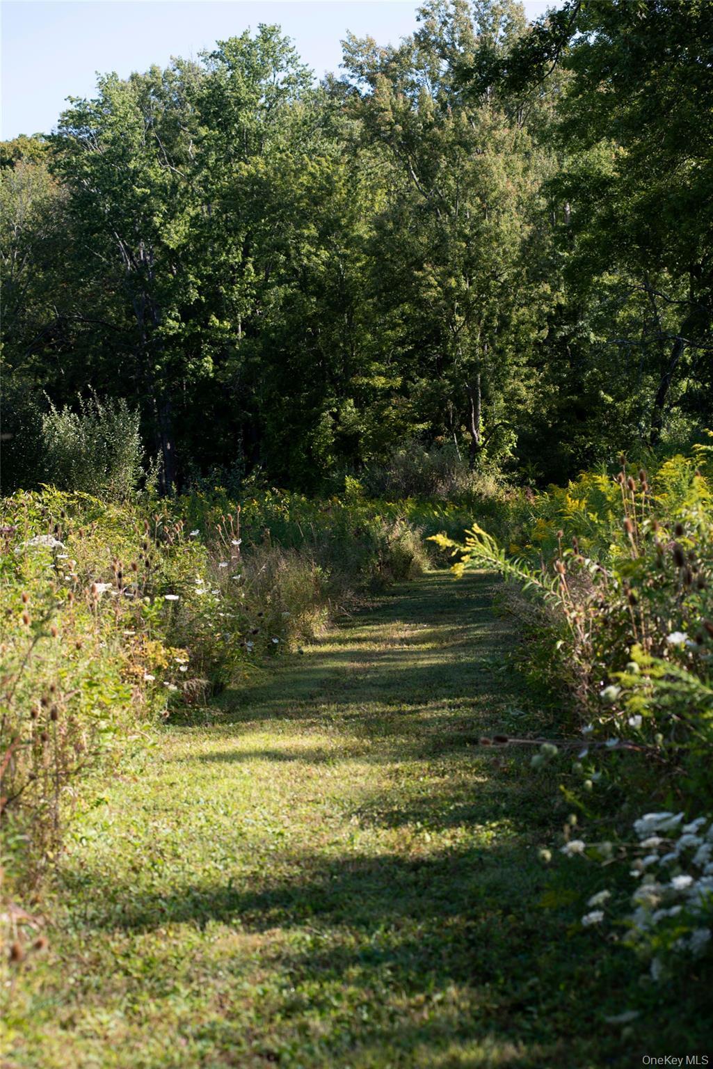 Single Family Waldorf Ridge Columbia County, NY 12516, MLS-911610-14