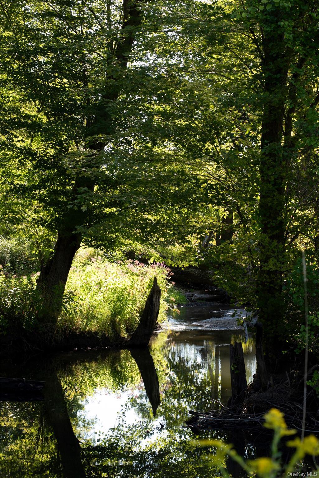 Single Family Waldorf Ridge Columbia County, NY 12516, MLS-911610-15