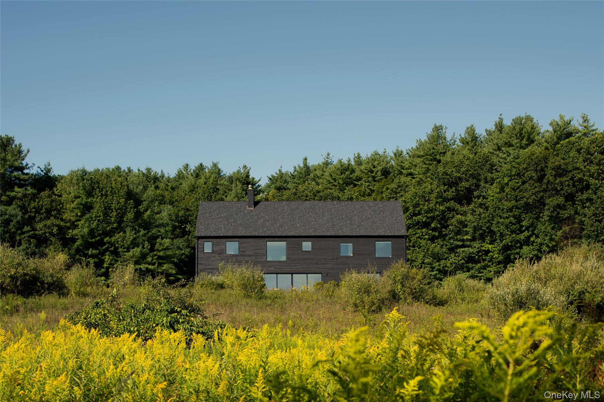 Single Family Waldorf Ridge Columbia County, NY 12516, MLS-911610-43