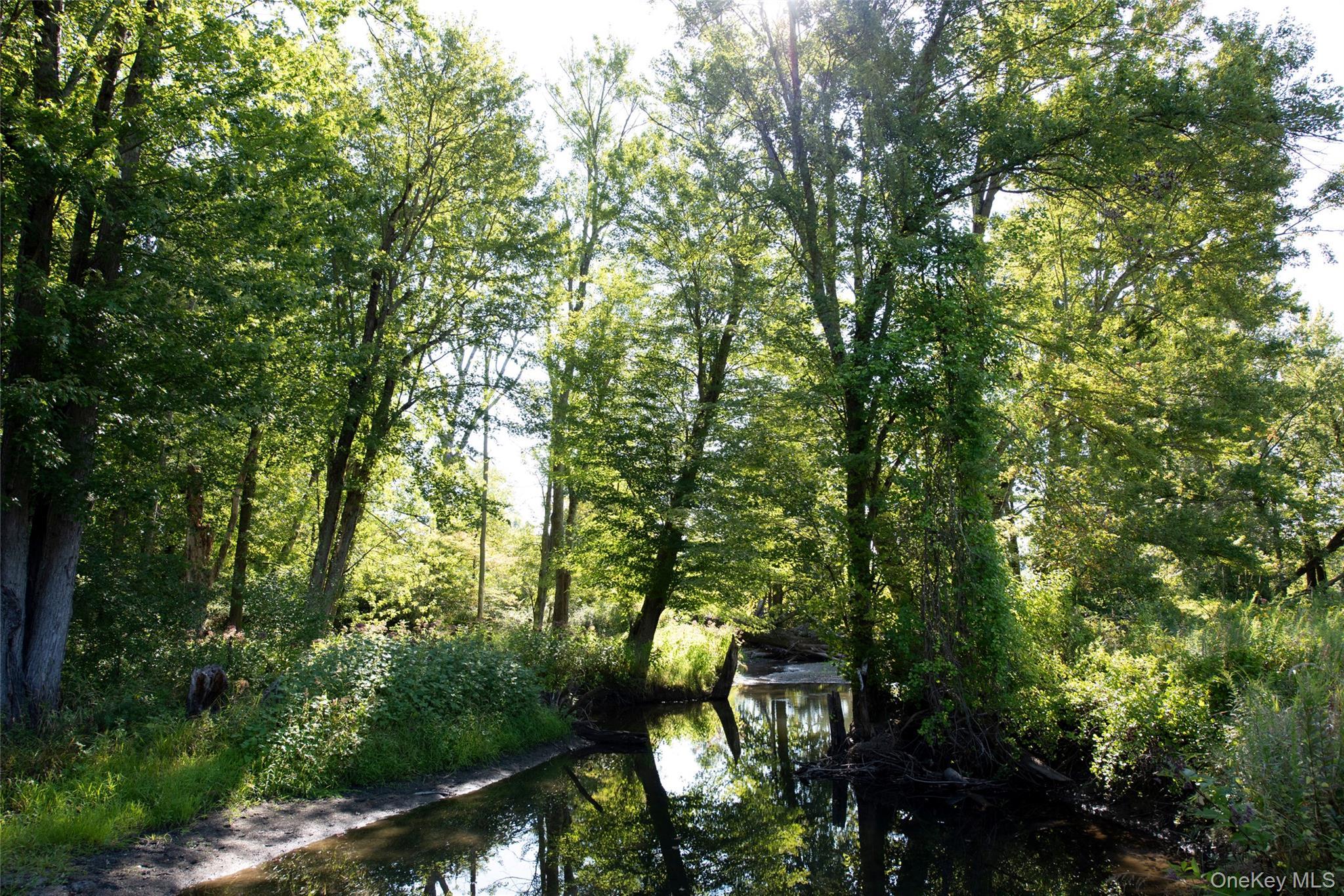 Single Family Waldorf Ridge Columbia County, NY 12516, MLS-911610-49