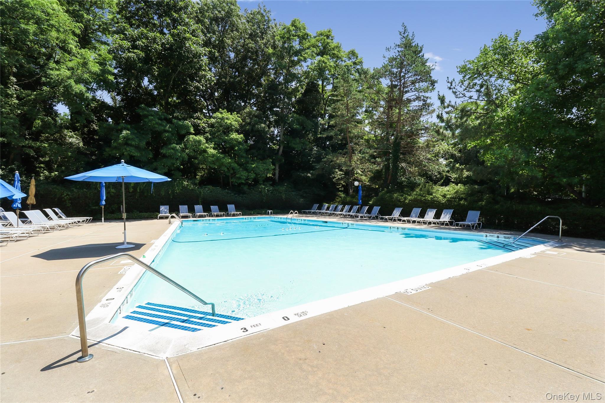 Condo Hidden Ridge  Nassau County, NY 11791, MLS-911695-29