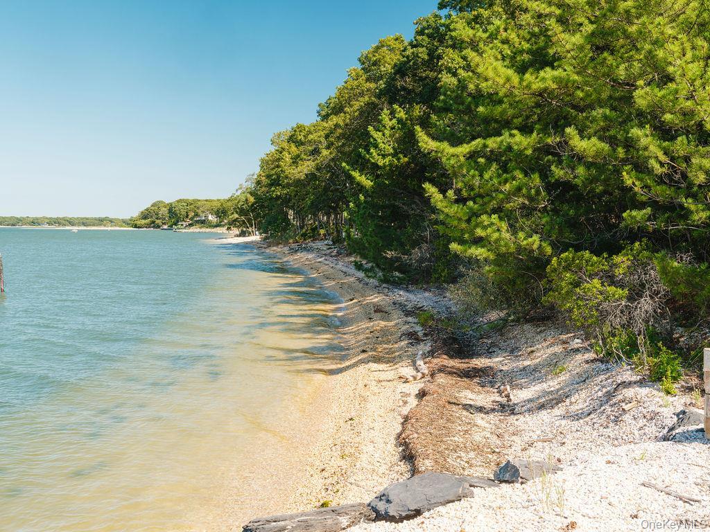 Single Family Bayview Suffolk County, NY 11971, MLS-911696-19