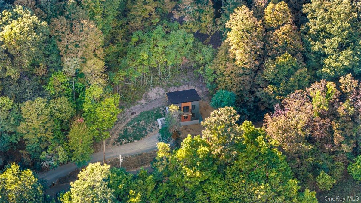 Single Family Vedder Mountain  Greene County, NY 12414, MLS-911870-4