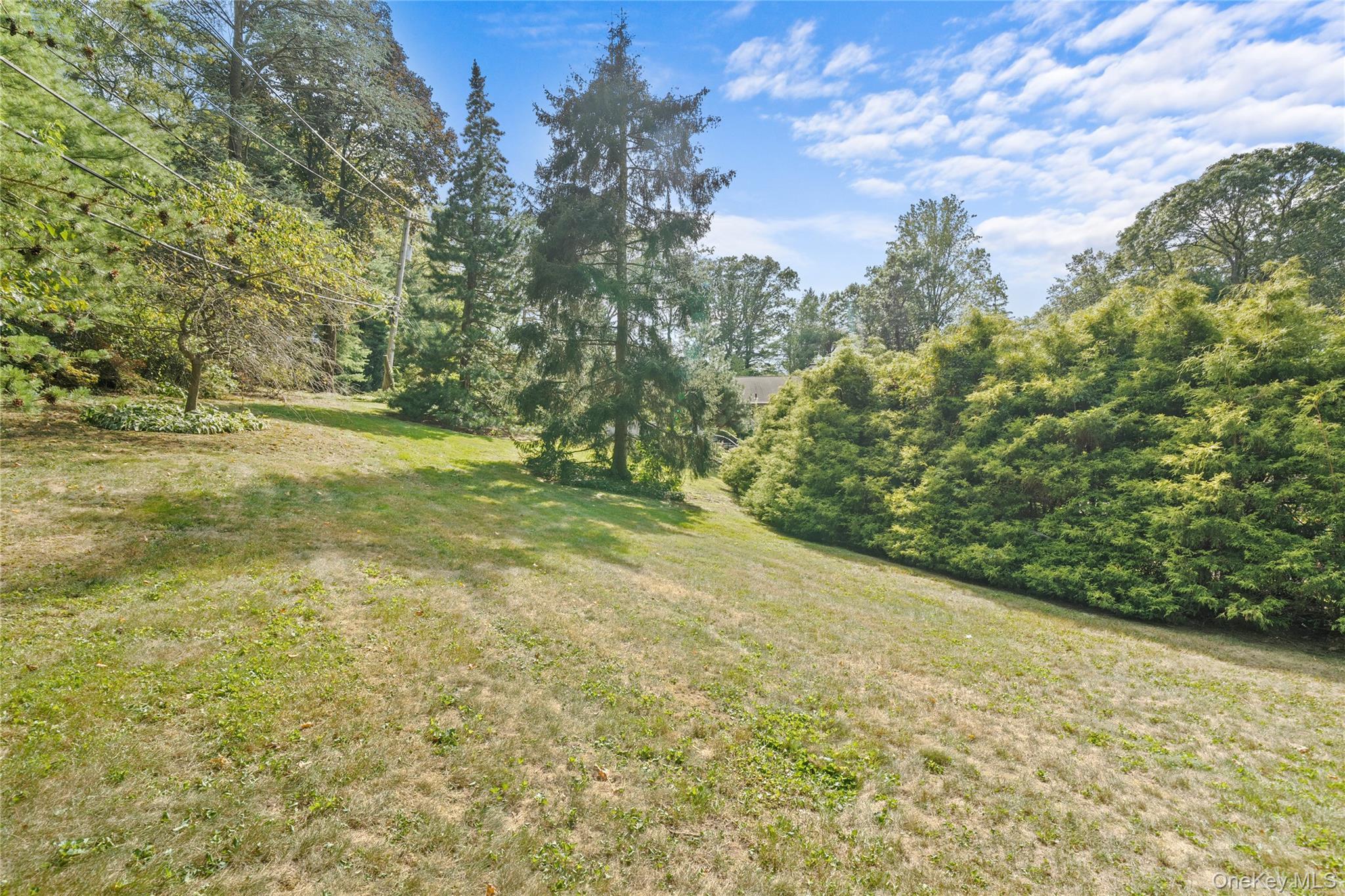 Single Family Rolling Hill Nassau County, NY 11568, MLS-911936-40