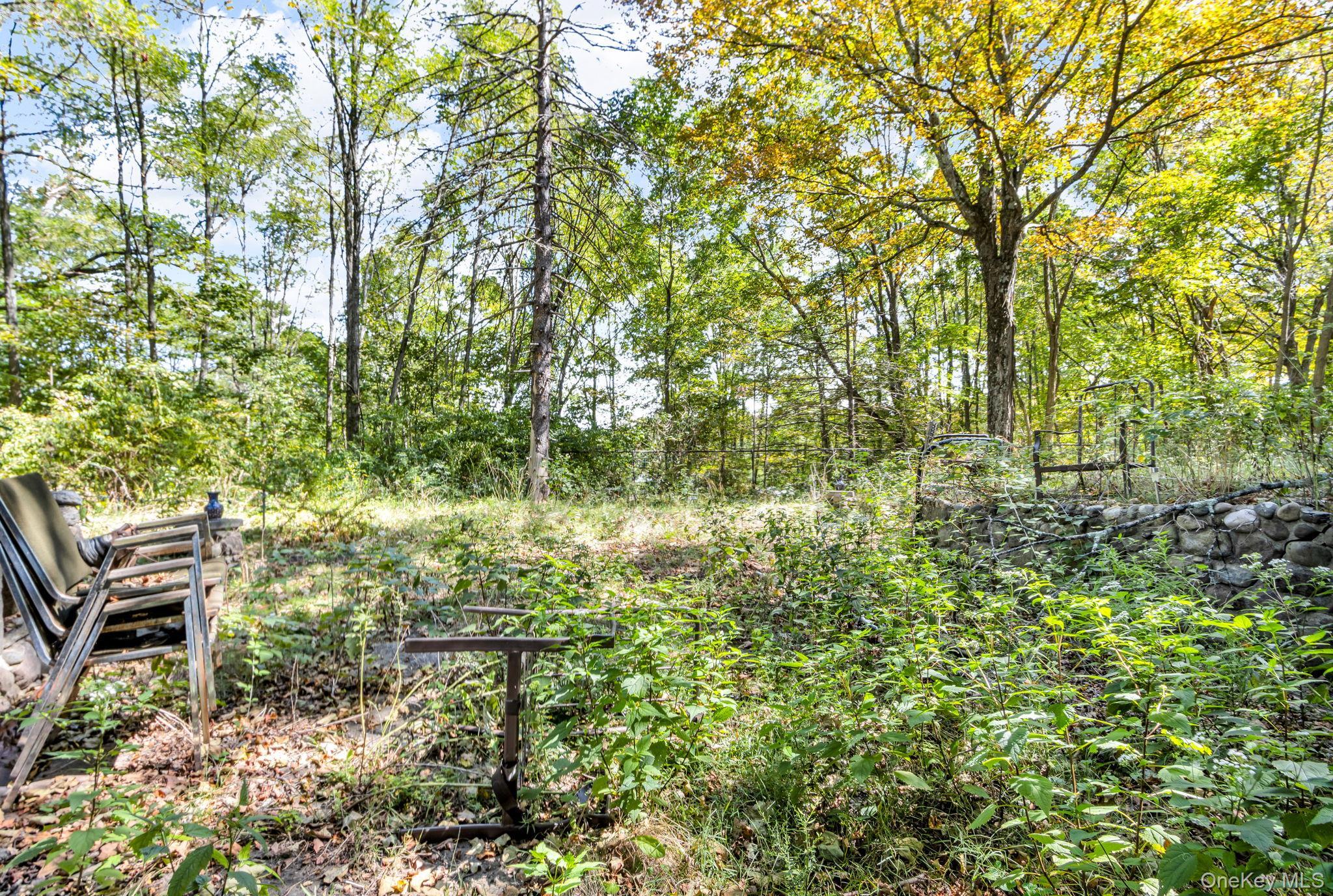 Single Family Foster  Greene County, NY 12413, MLS-912015-4