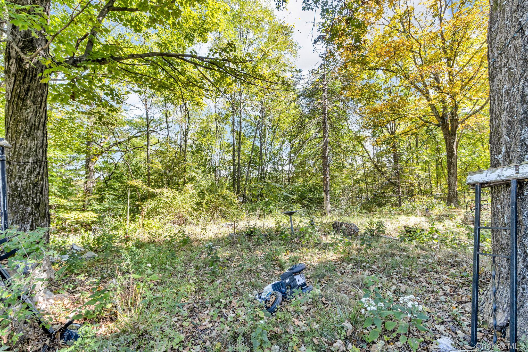 Single Family Foster  Greene County, NY 12413, MLS-912015-5