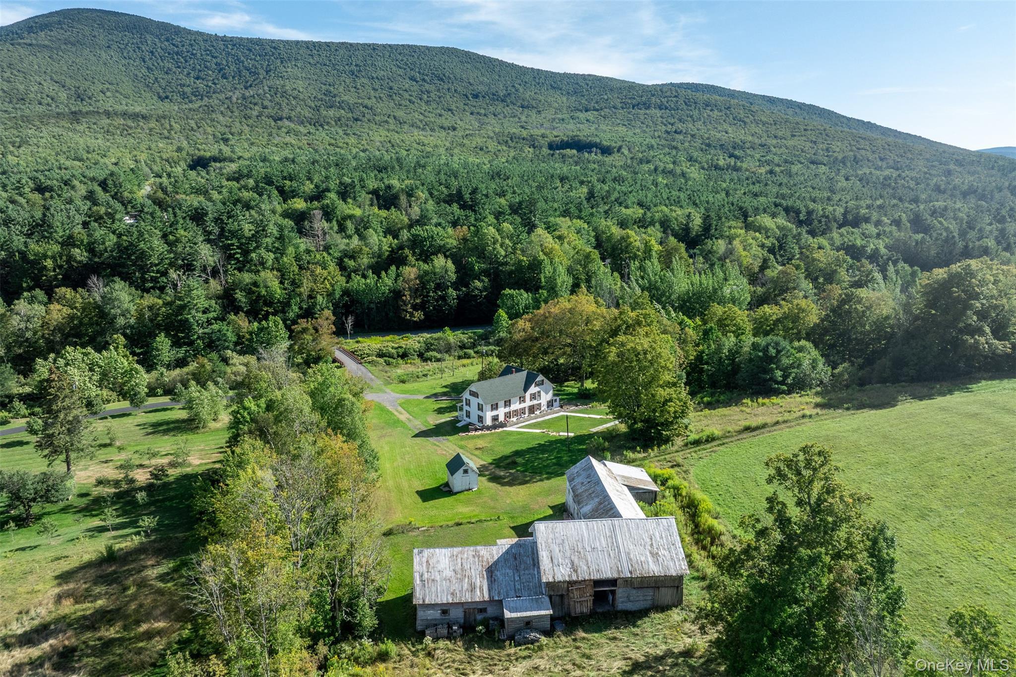 Single Family Leon Macglashan Road Greene County, NY 12496, MLS-912042-4