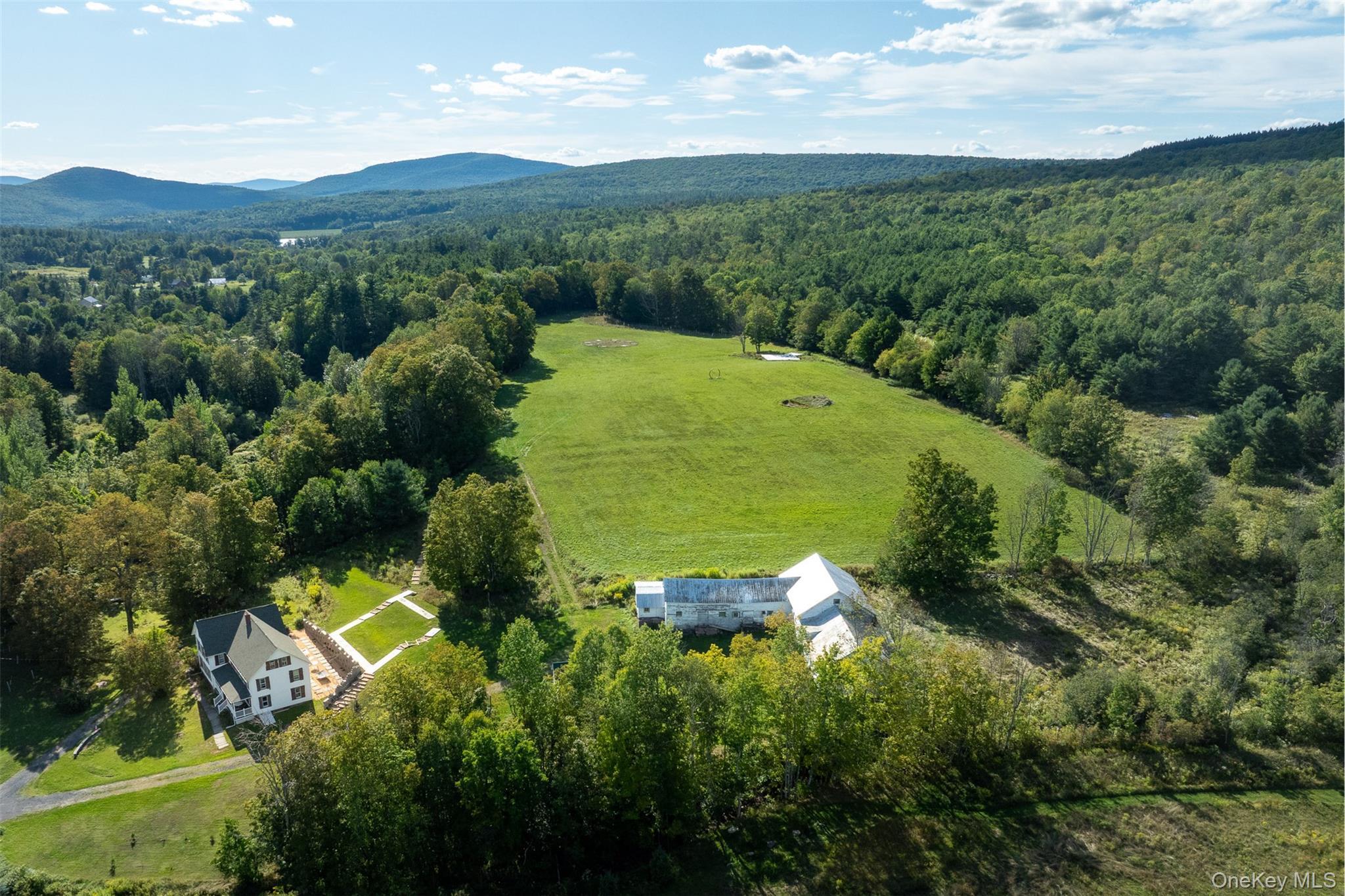 Single Family Leon Macglashan Road Greene County, NY 12496, MLS-912042-6