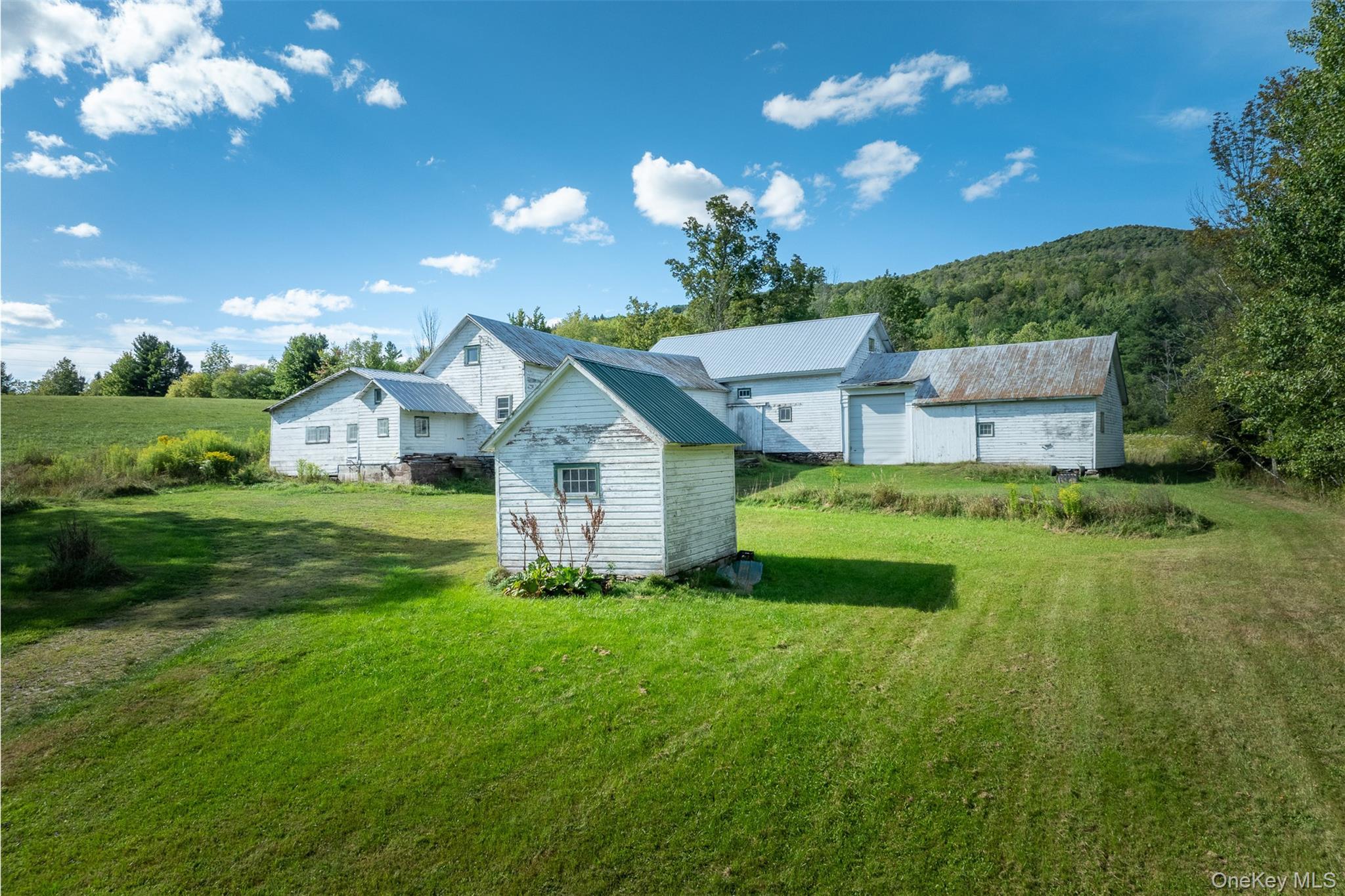 Single Family Leon Macglashan Road Greene County, NY 12496, MLS-912042-7