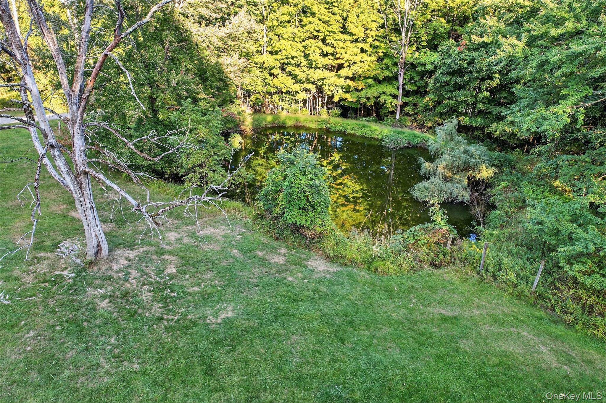 Single Family High Hope  Orange County, NY 10963, MLS-912082-40