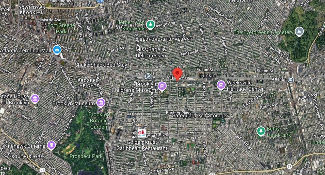 Commercial Sale Pacific  Brooklyn, NY 11213, MLS-912144-14