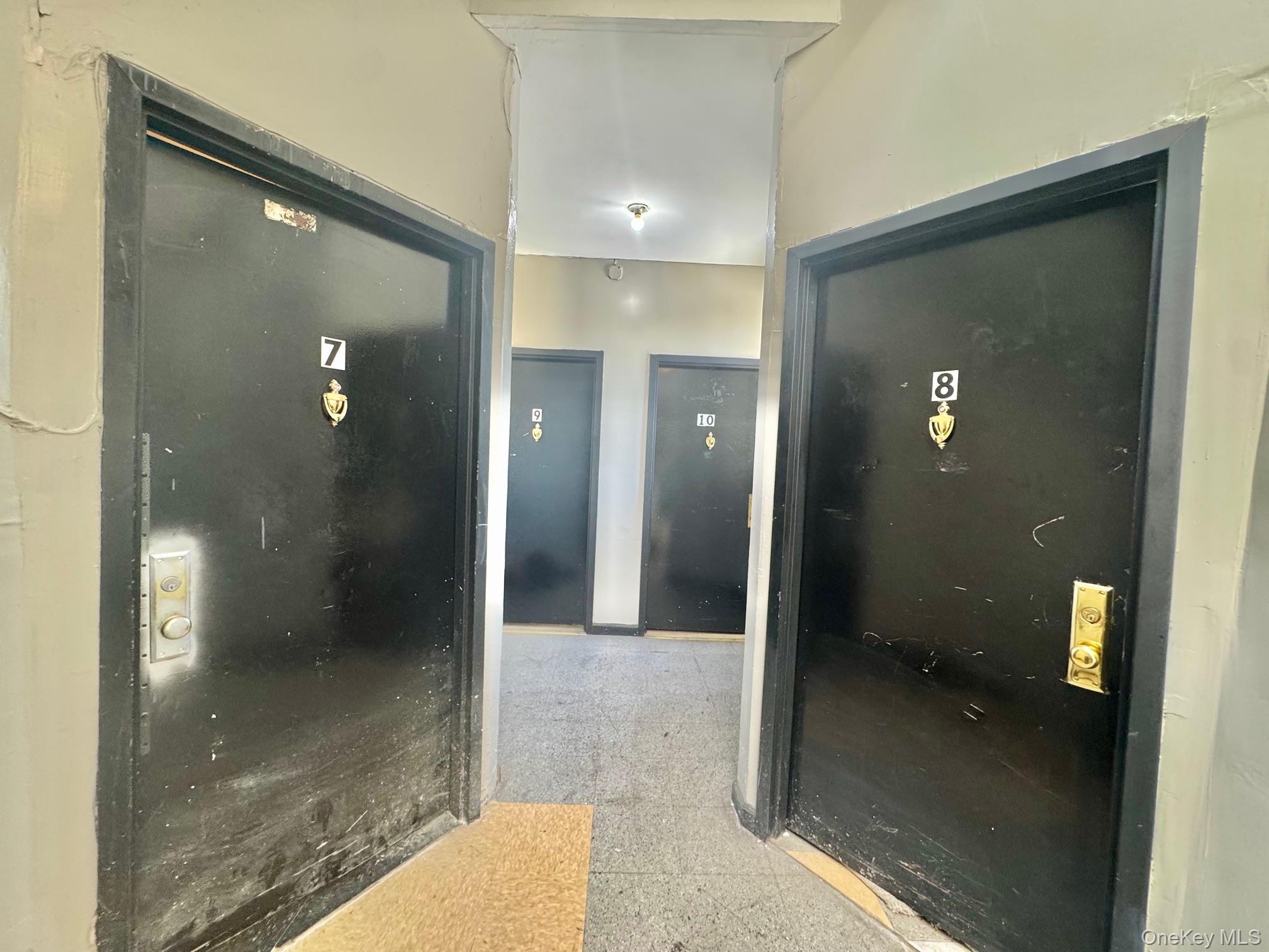 Commercial Sale Pacific  Brooklyn, NY 11213, MLS-912144-18