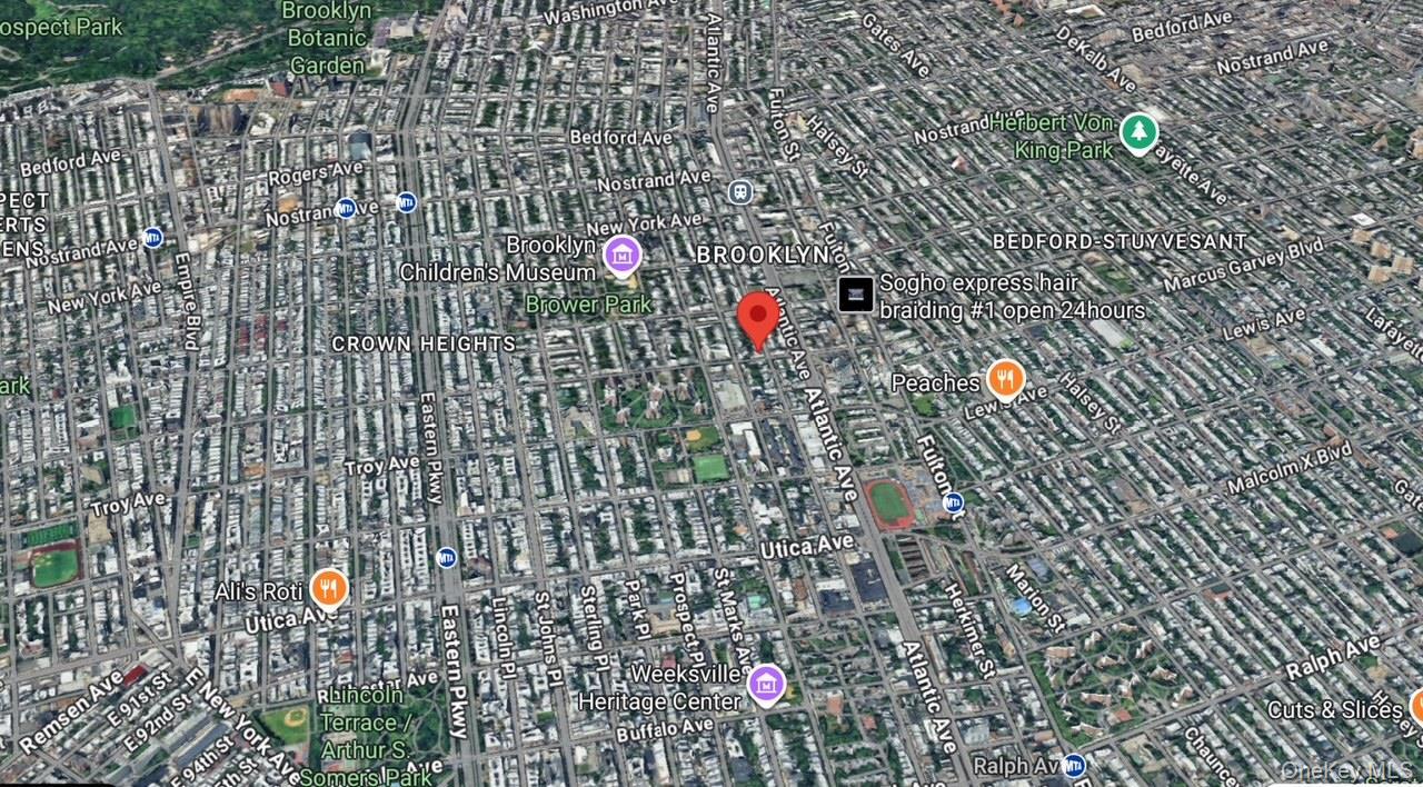 Commercial Sale Pacific  Brooklyn, NY 11213, MLS-912144-3