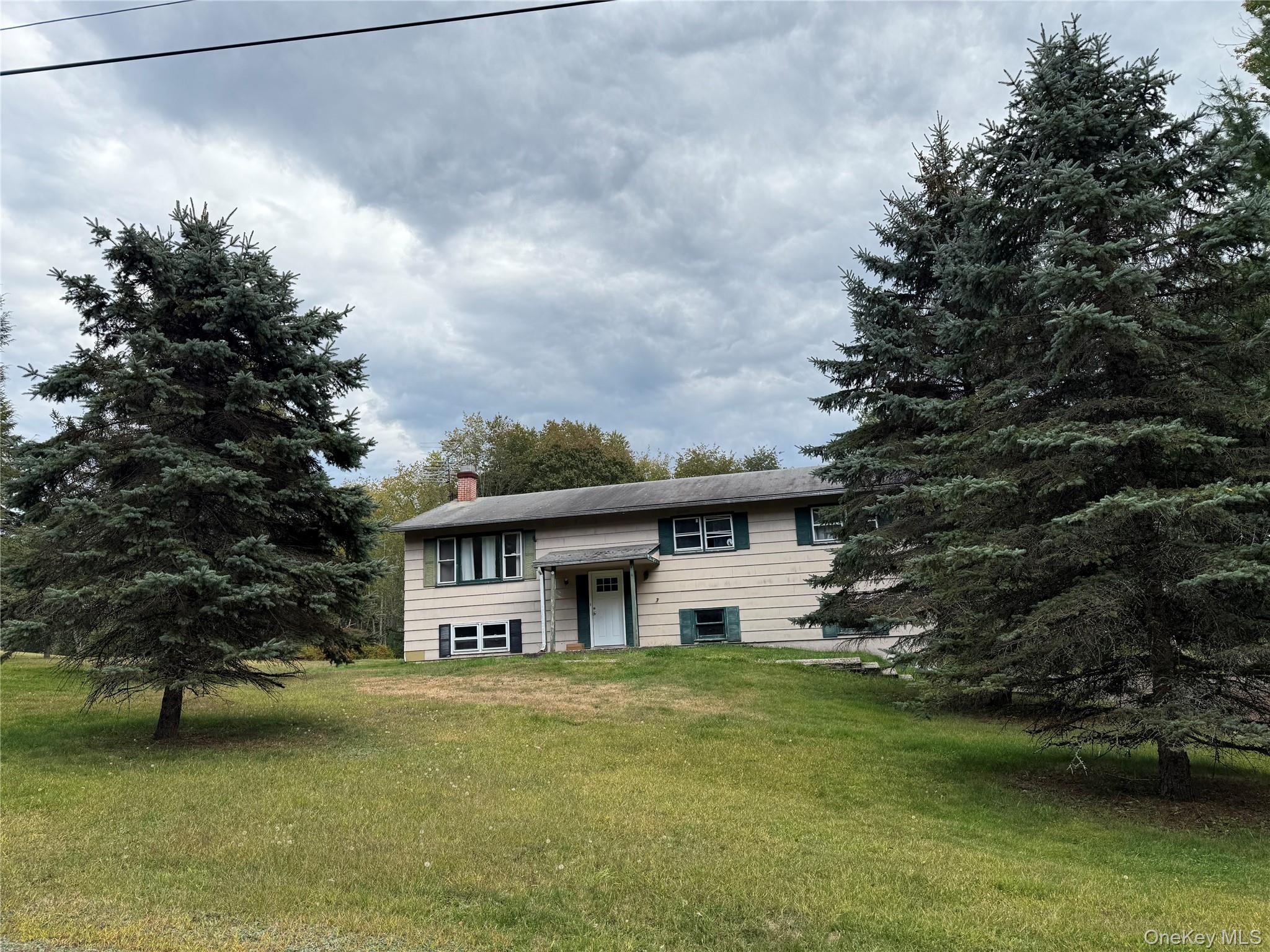 Single Family Dill Sullivan County, NY 12777, MLS-912205-3