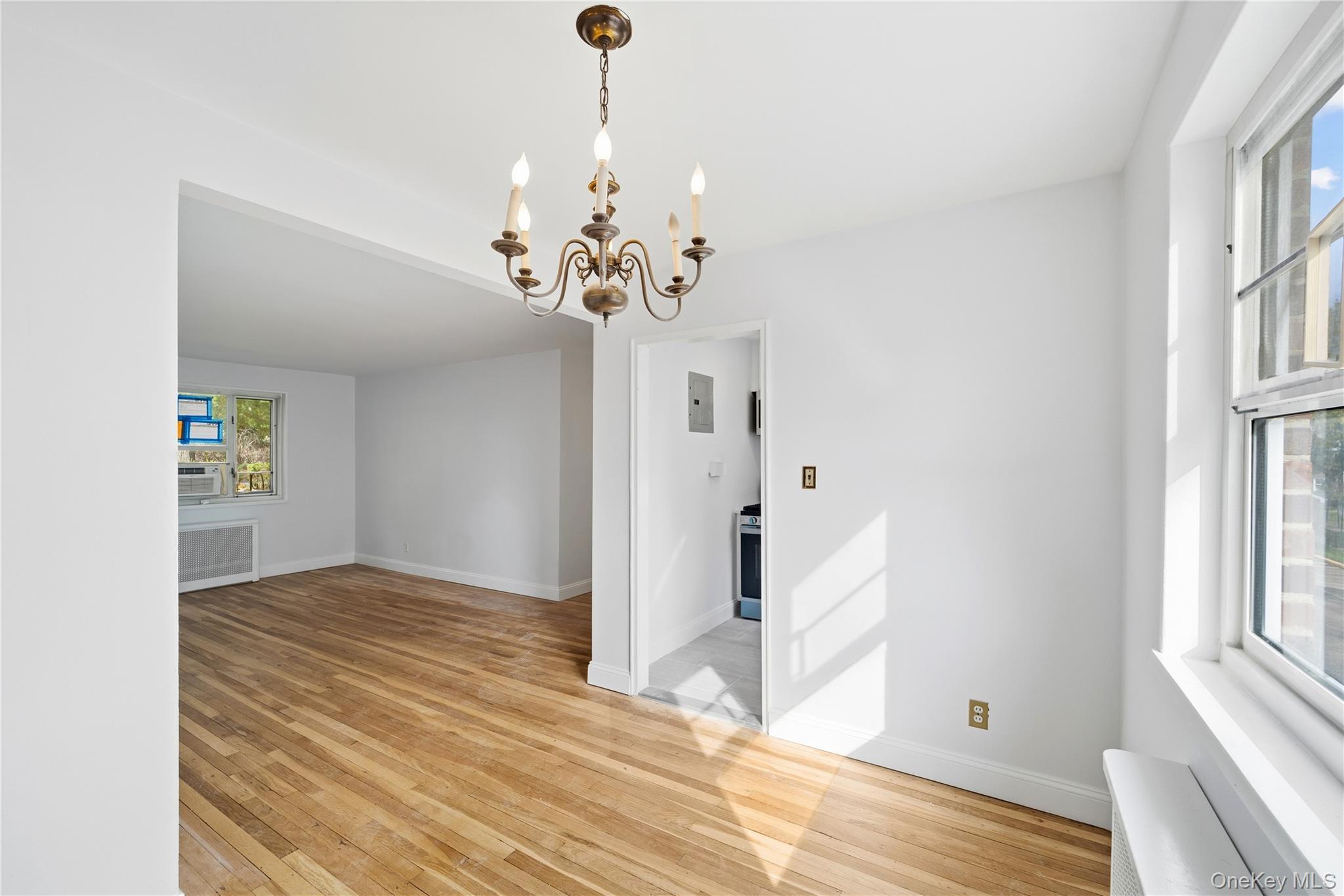 Coop Stronghurst  Queens, NY 11427, MLS-912340-8