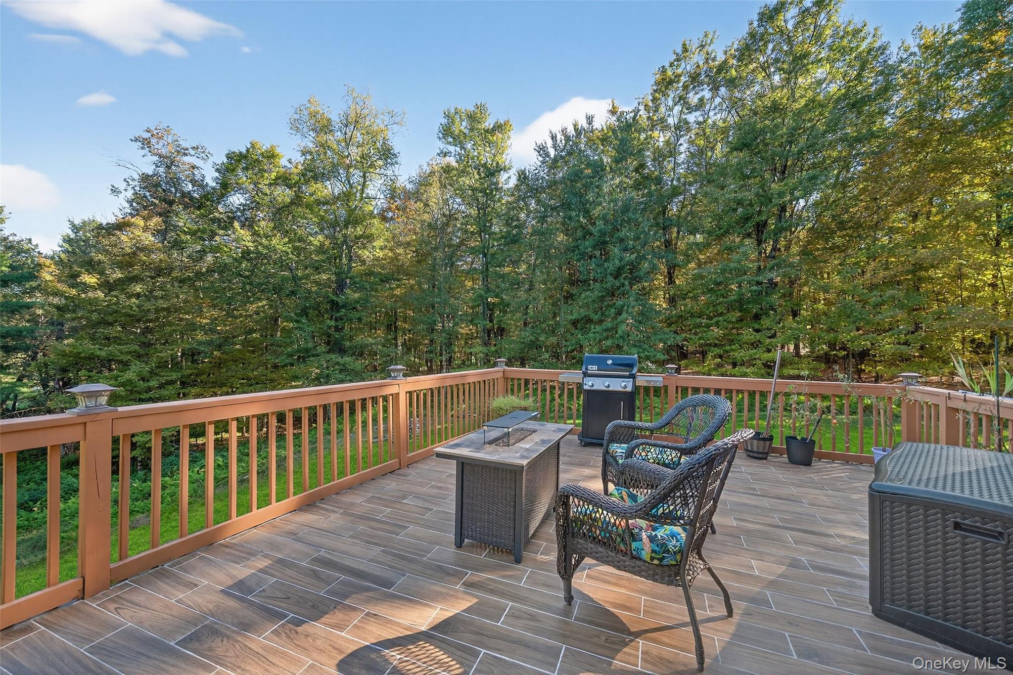 Single Family Horseshoe Lake  Sullivan County, NY 12783, MLS-912417-39