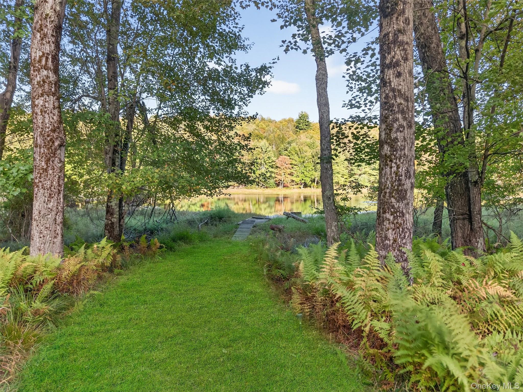 Single Family Horseshoe Lake  Sullivan County, NY 12783, MLS-912417-44