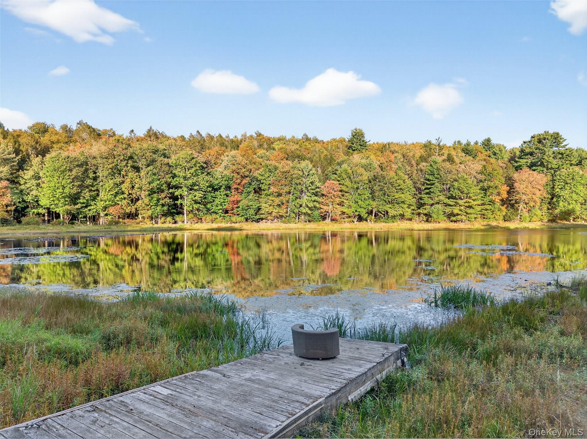 Single Family Horseshoe Lake  Sullivan County, NY 12783, MLS-912417-45