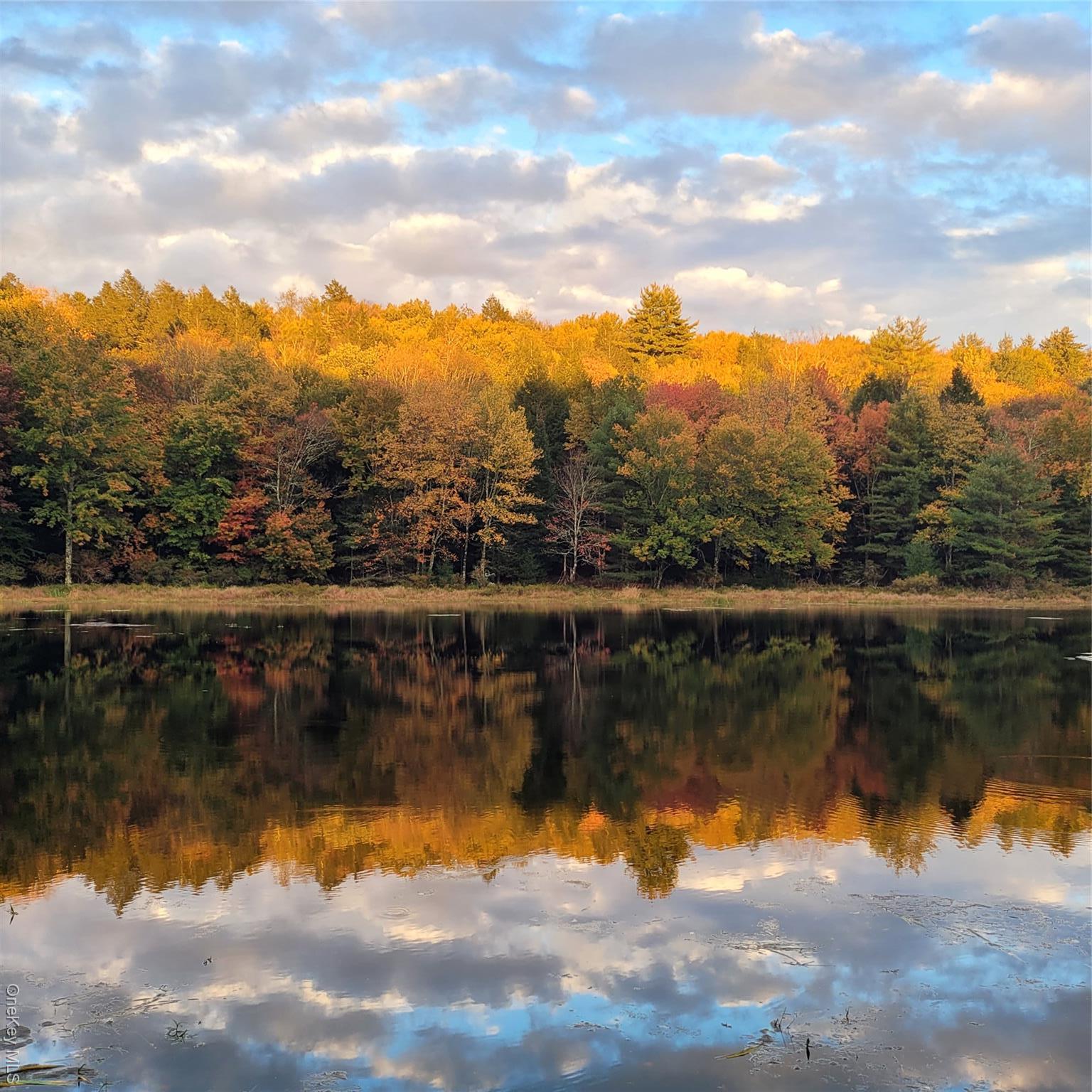 Single Family Horseshoe Lake  Sullivan County, NY 12783, MLS-912417-47