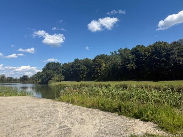 Single Family Sherman Orange County, NY 12586, MLS-912566-43