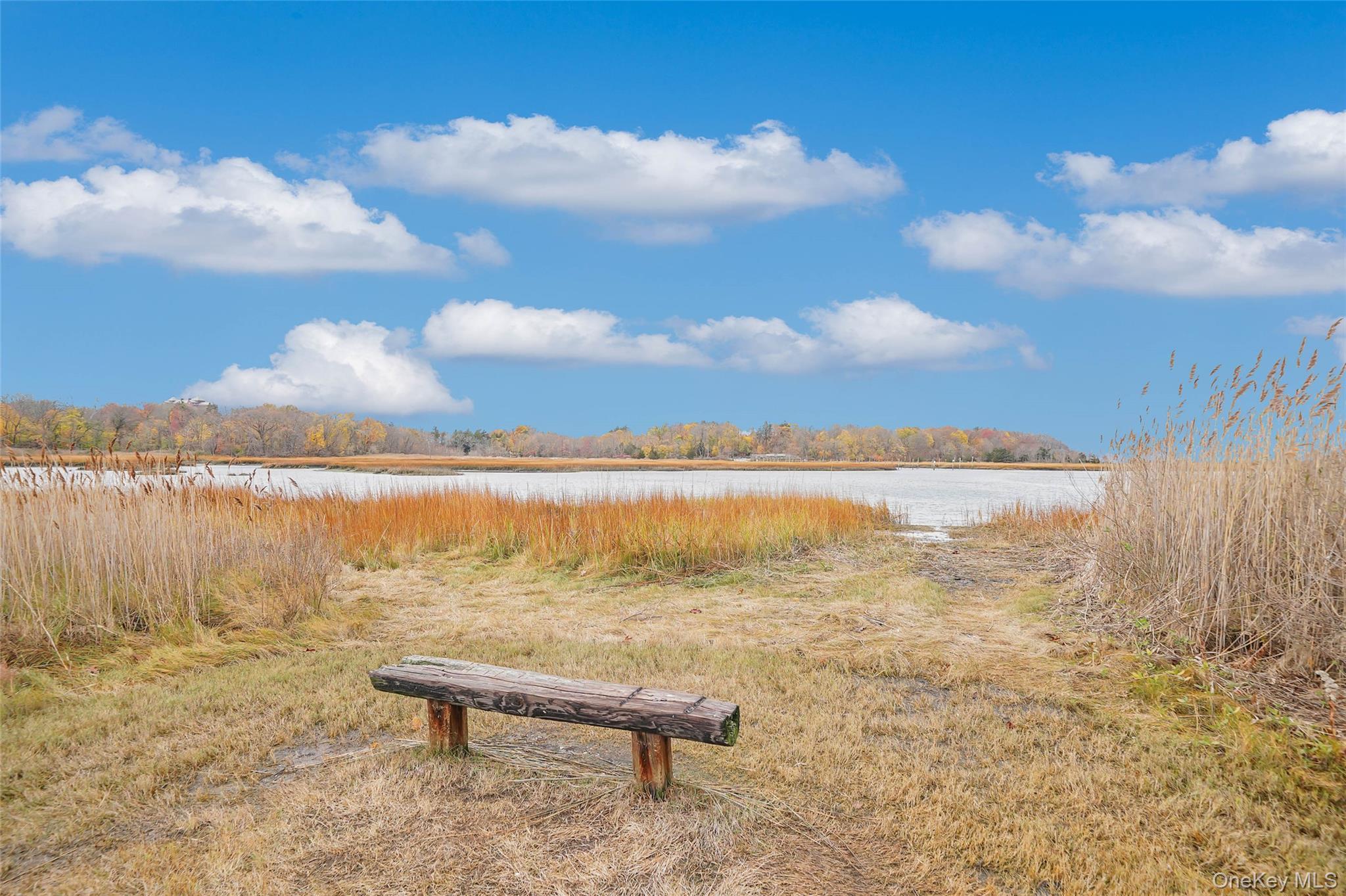 Single Family Tulip  Suffolk County, NY 11754, MLS-912569-23