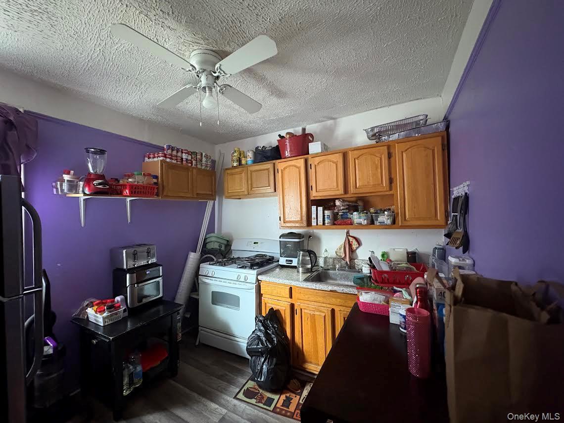 Single Family Schenectady  Brooklyn, NY 11203, MLS-912689-8