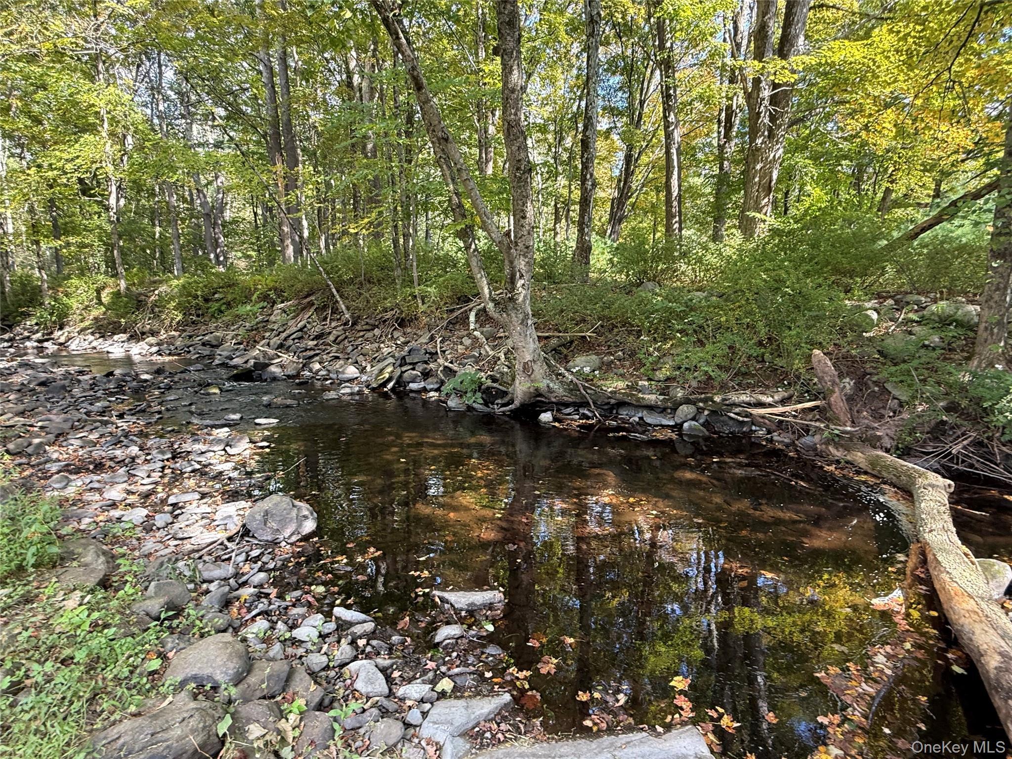 Single Family State Route 42  Orange County, NY 12780, MLS-912707-10