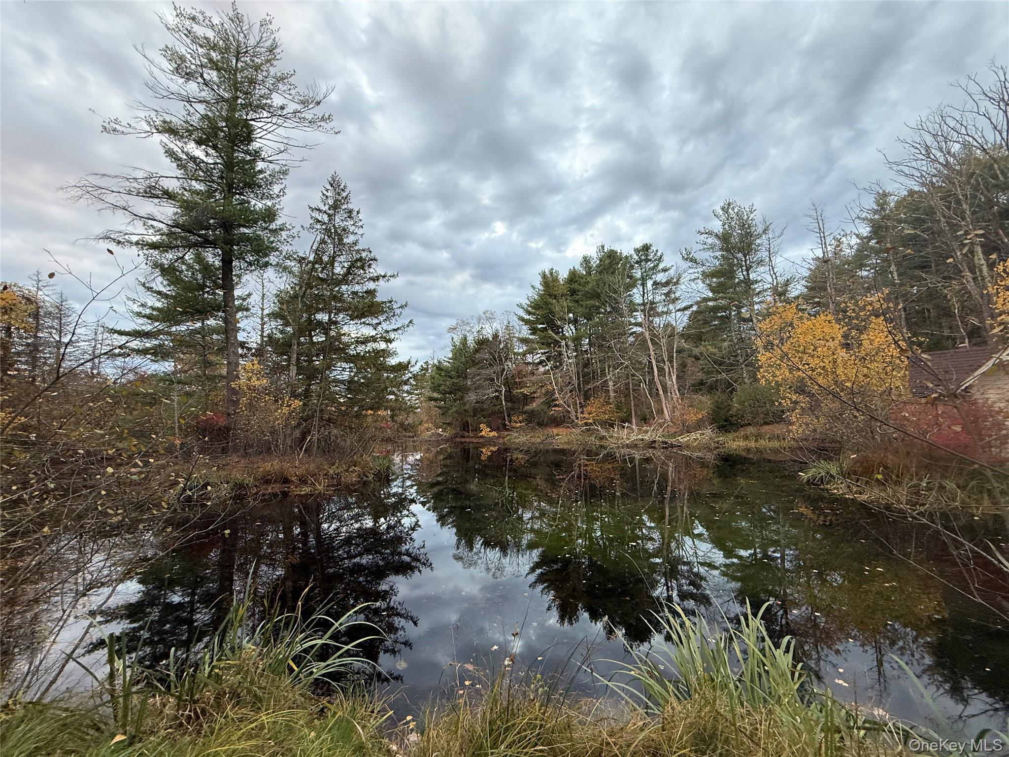Single Family County Route 31 Sullivan County, NY 12737, MLS-912717-4