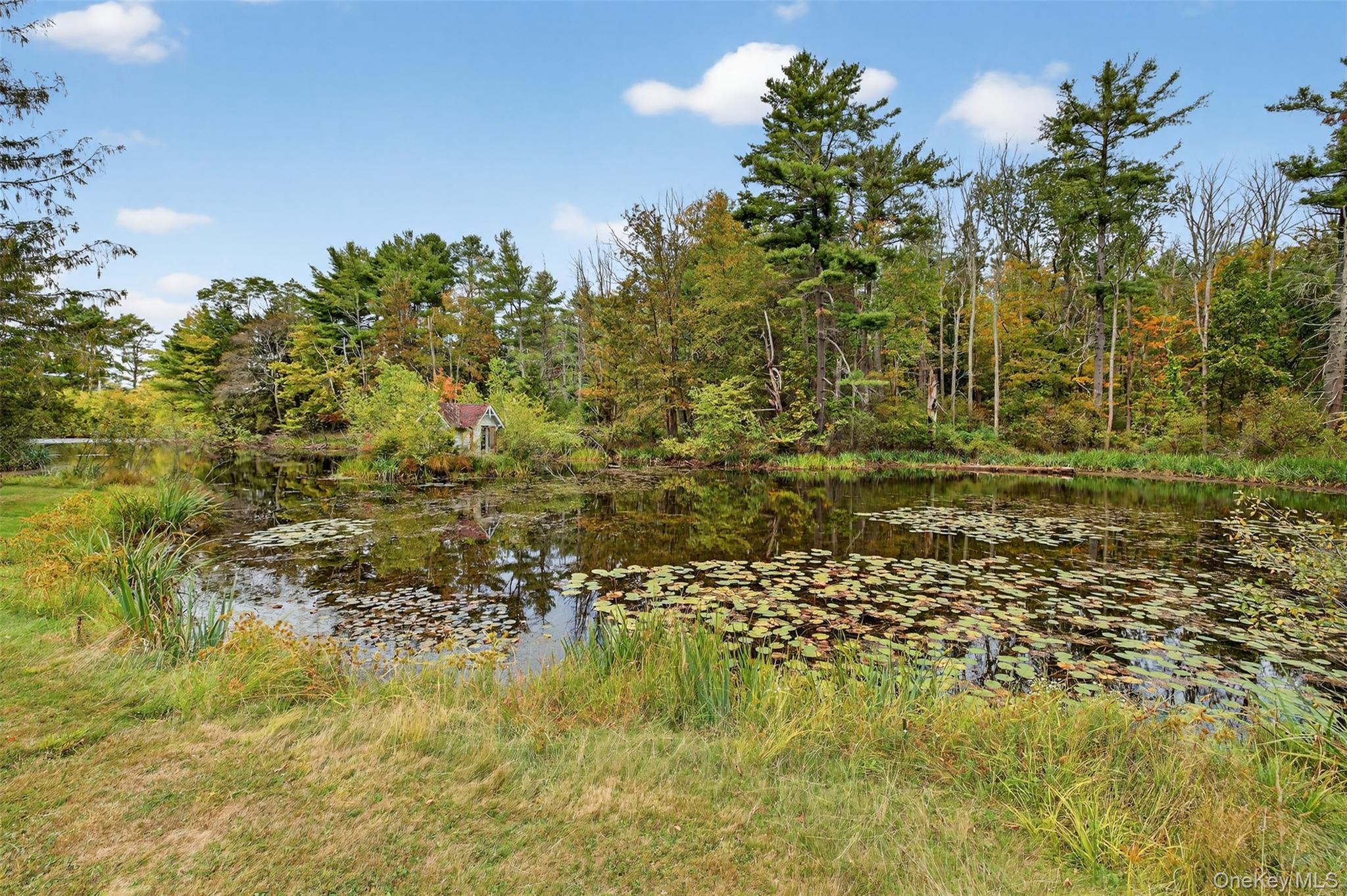 Single Family County Route 31 Sullivan County, NY 12737, MLS-912717-46