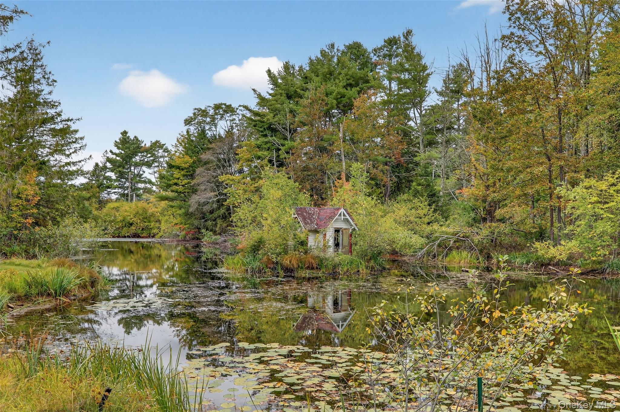 Single Family County Route 31  Sullivan County, NY 12737, MLS-912717-48
