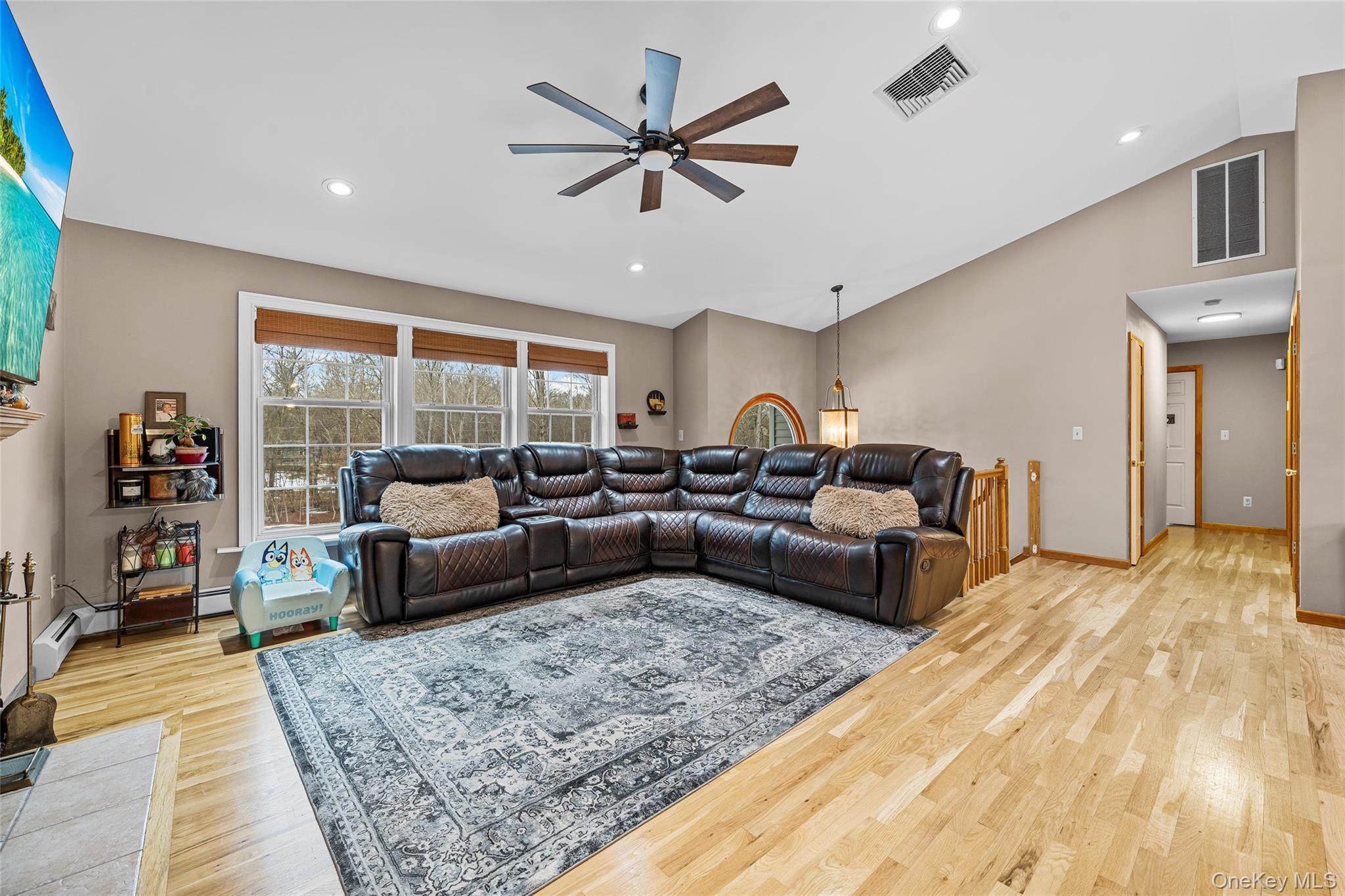 Single Family Twin Arch  Orange County, NY 12575, MLS-912842-7