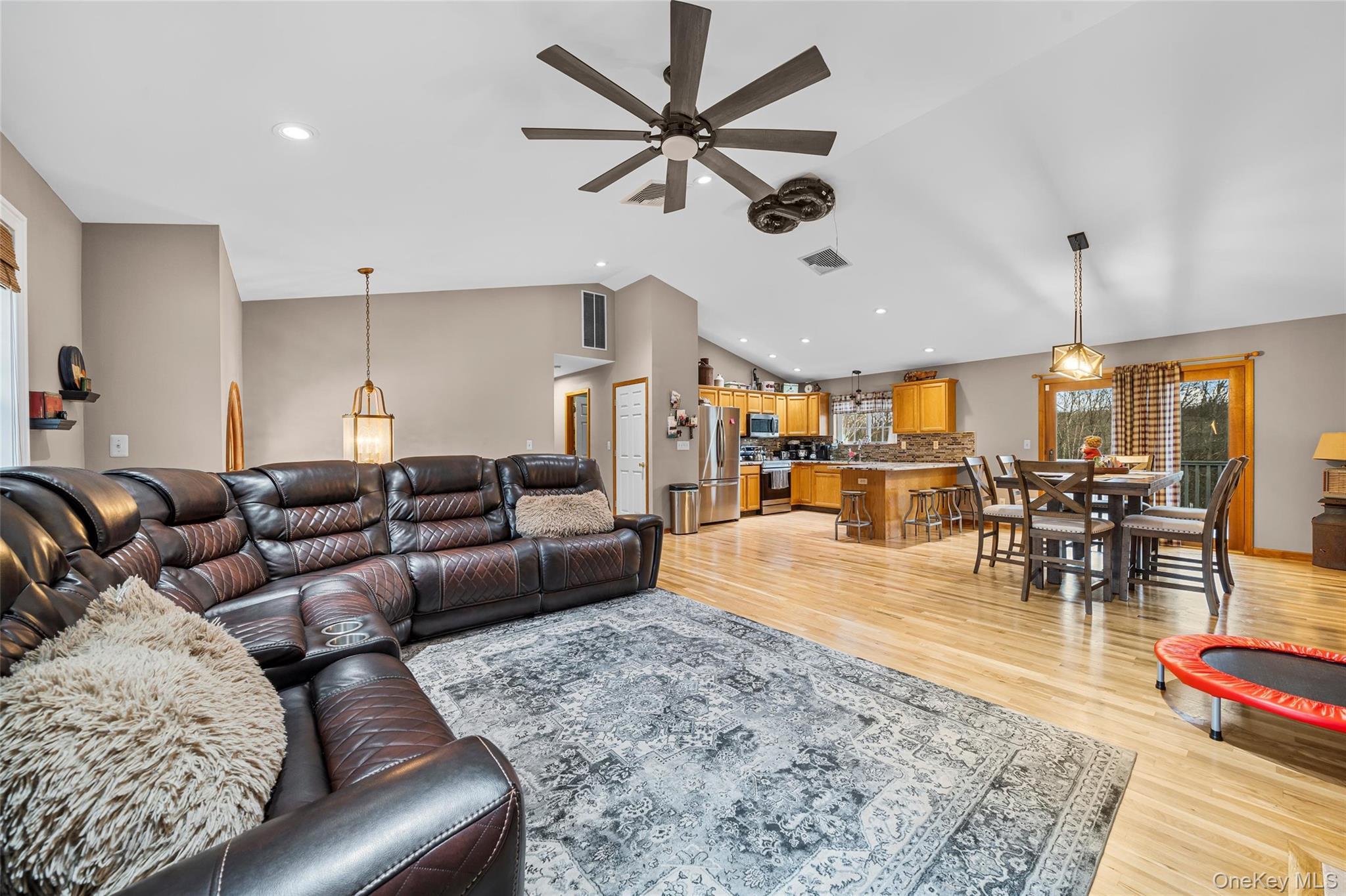 Single Family Twin Arch  Orange County, NY 12575, MLS-912842-8