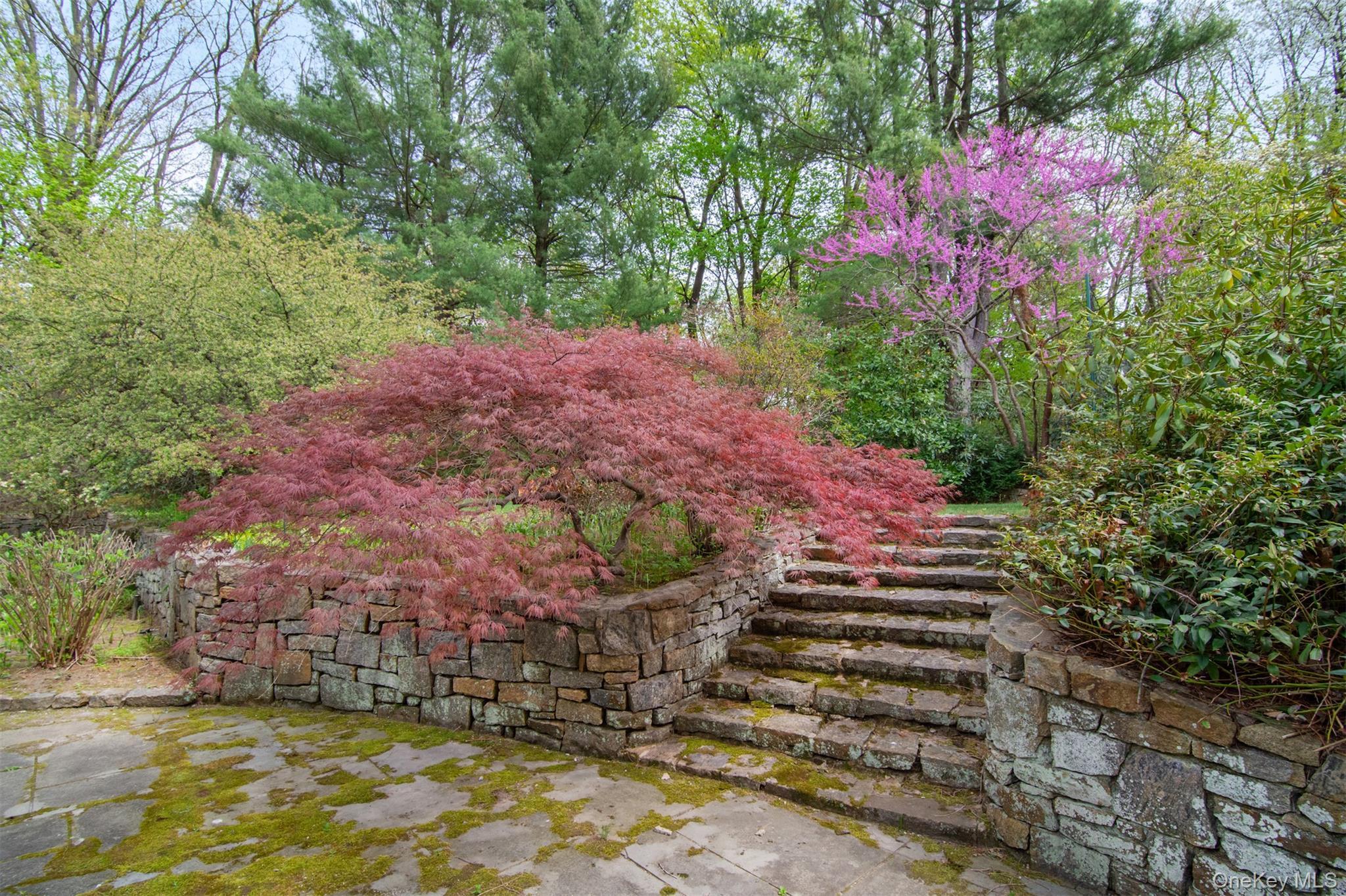 Single Family Washington Westchester County, NY 10522, MLS-912886-48