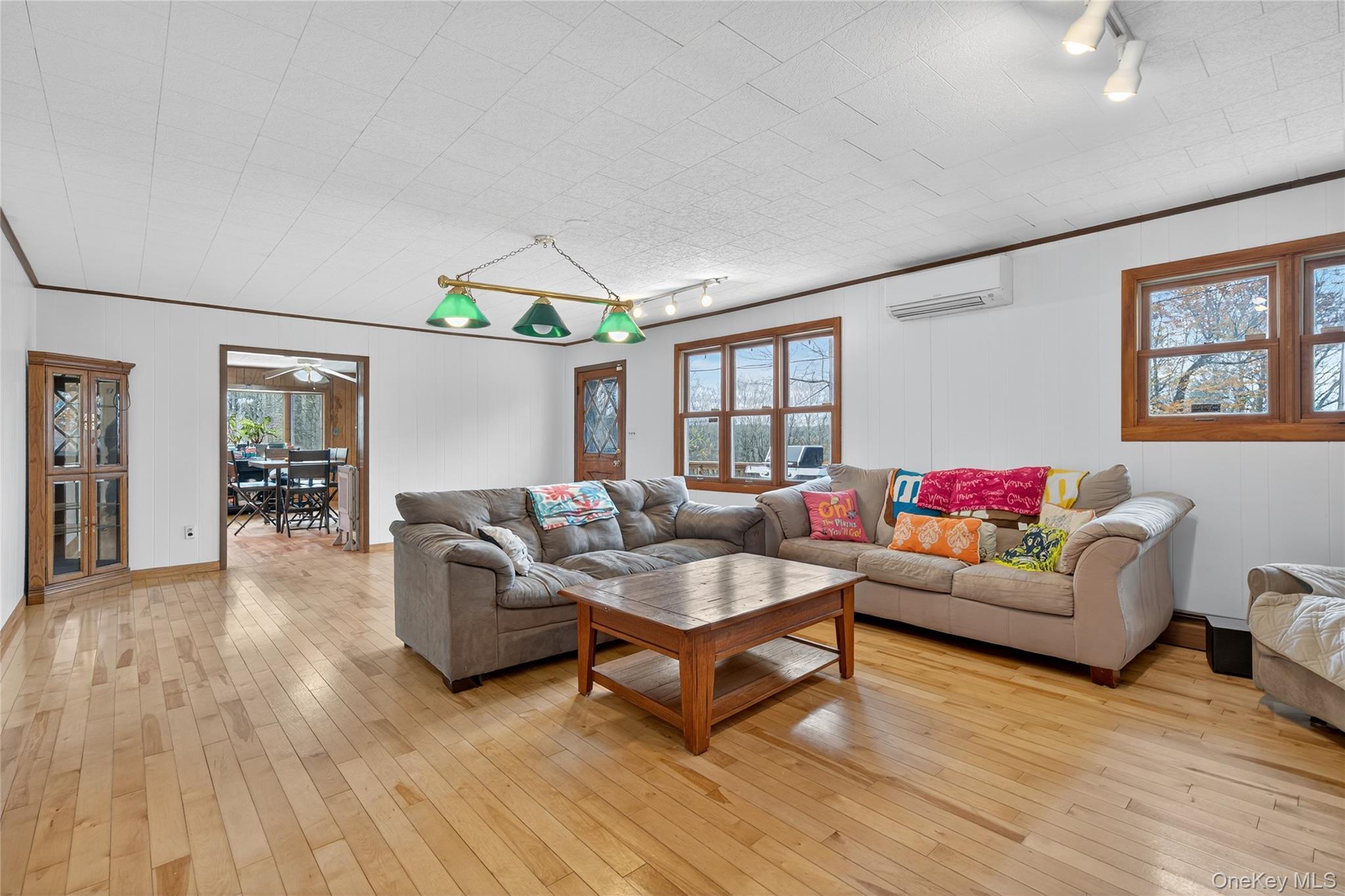 Single Family Hurd  Sullivan County, NY 12783, MLS-912944-20