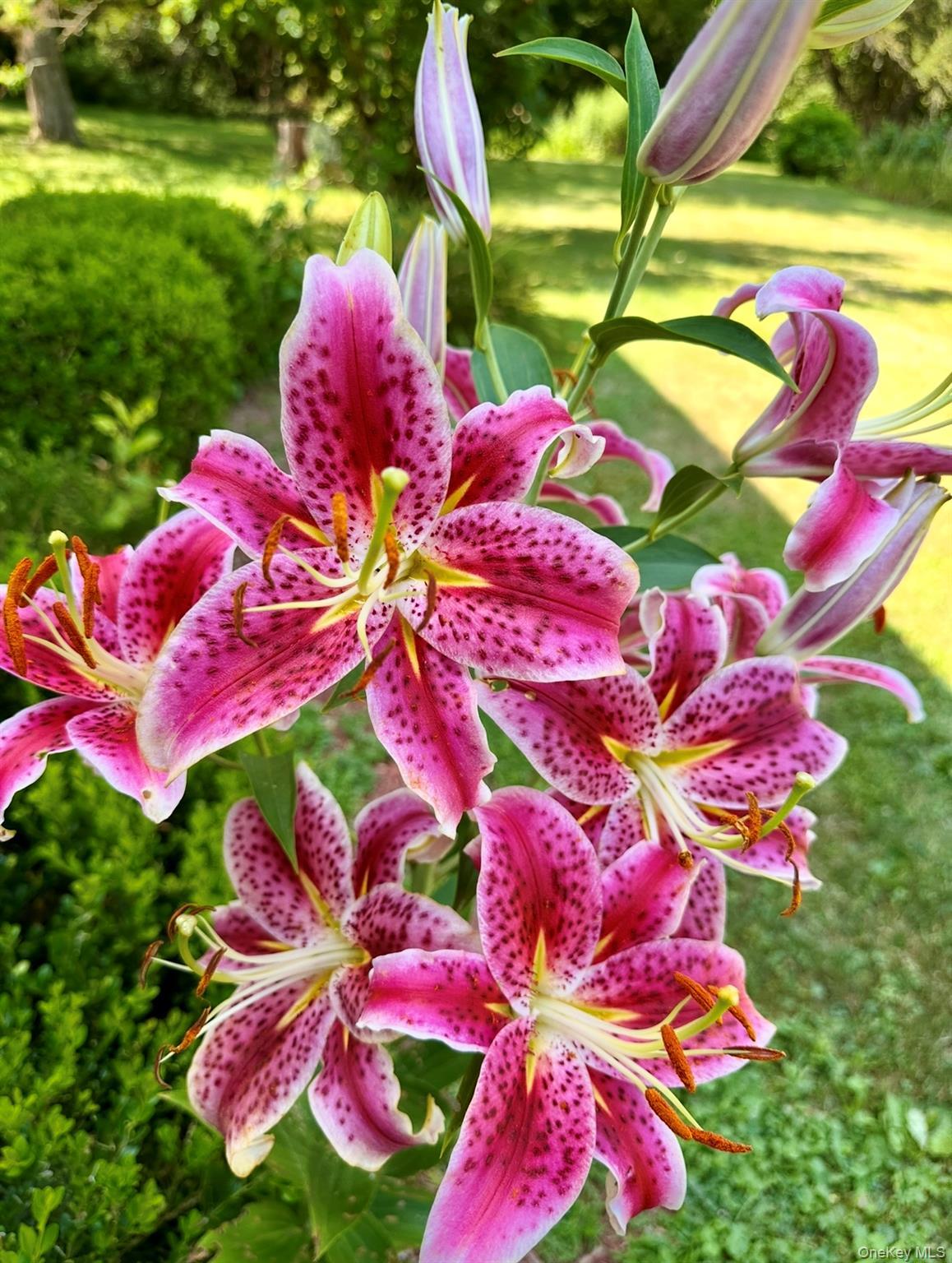 Single Family Bellvale Lakes  Orange County, NY 10990, MLS-913019-39