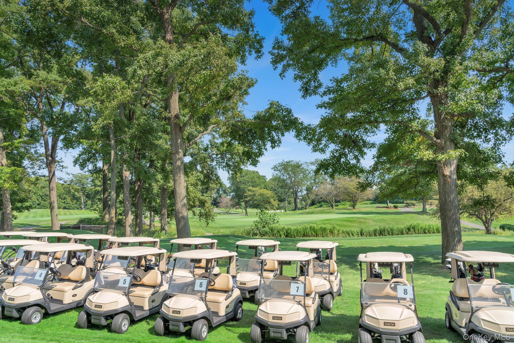 Coop Grand Central  Queens, NY 11005, MLS-913045-26