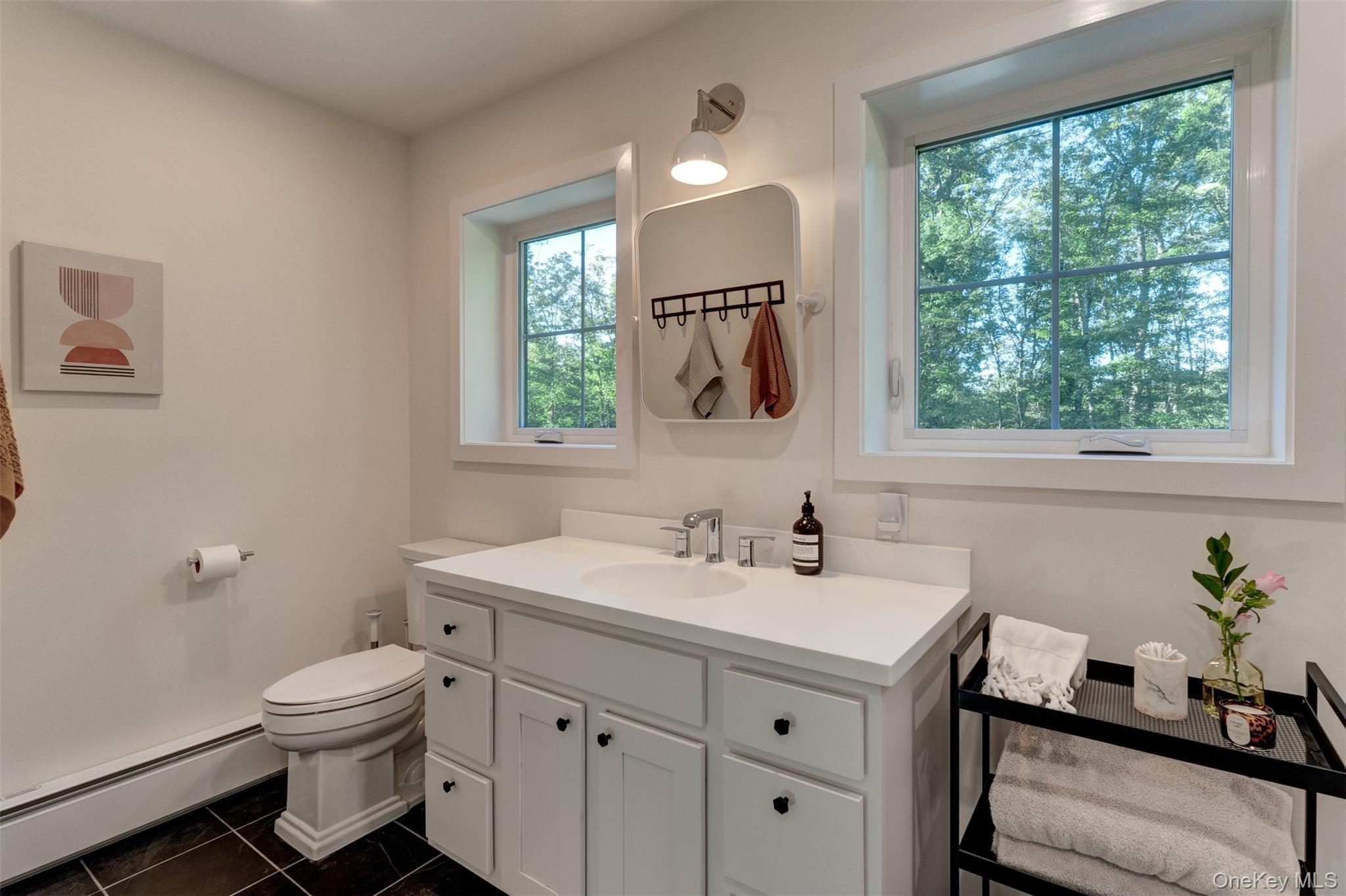 Single Family Cushetunk  Sullivan County, NY 12726, MLS-913066-25