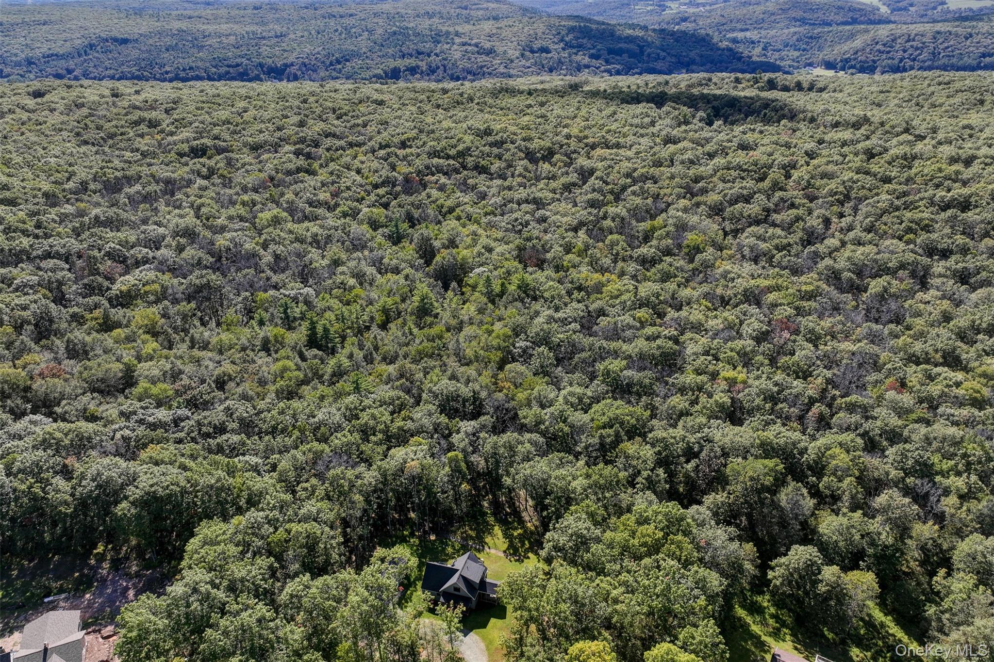 Single Family Cushetunk  Sullivan County, NY 12726, MLS-913066-39