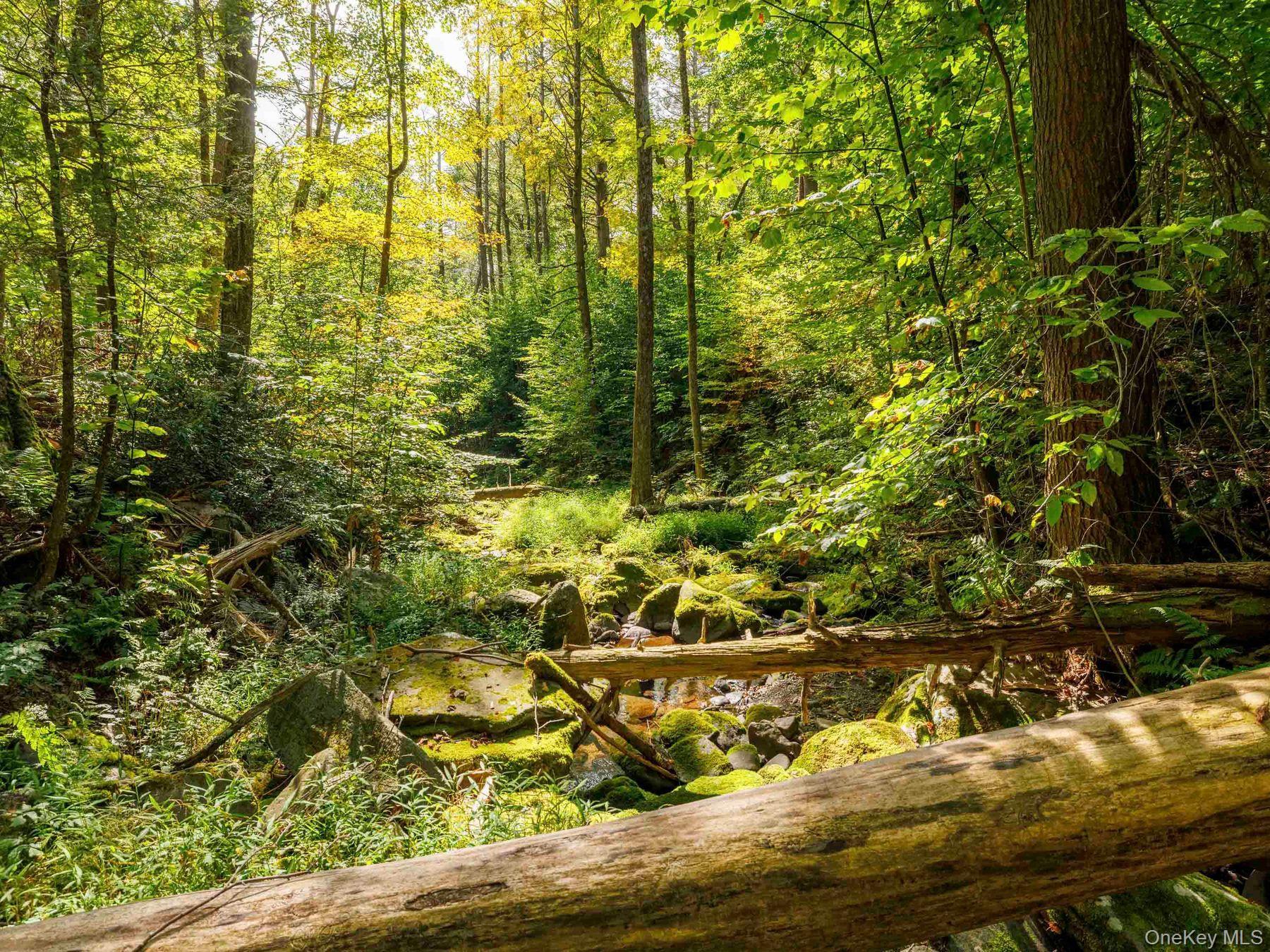 Single Family Trails End Ulster County, NY 12446, MLS-913296-19