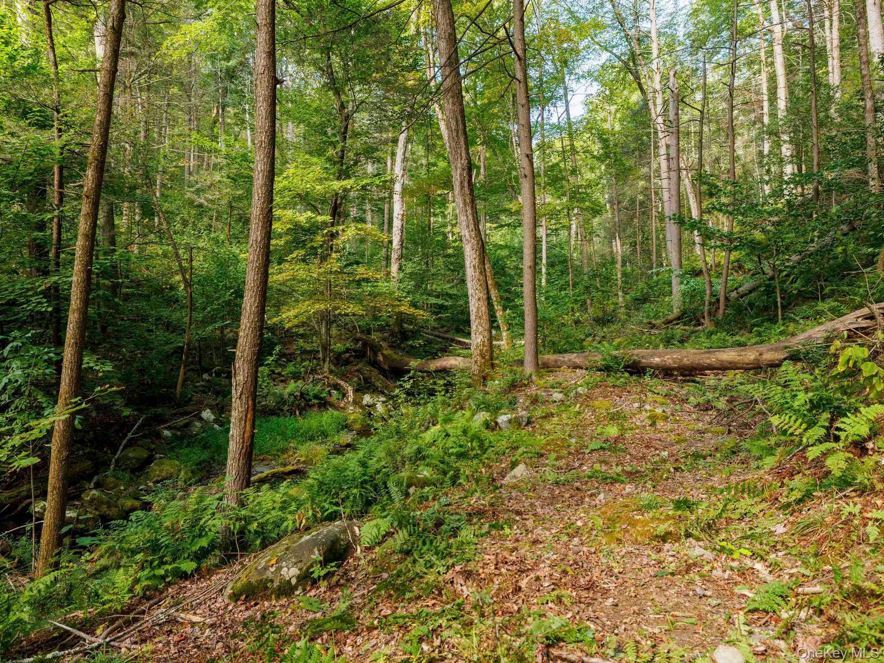 Single Family Trails End Ulster County, NY 12446, MLS-913296-20