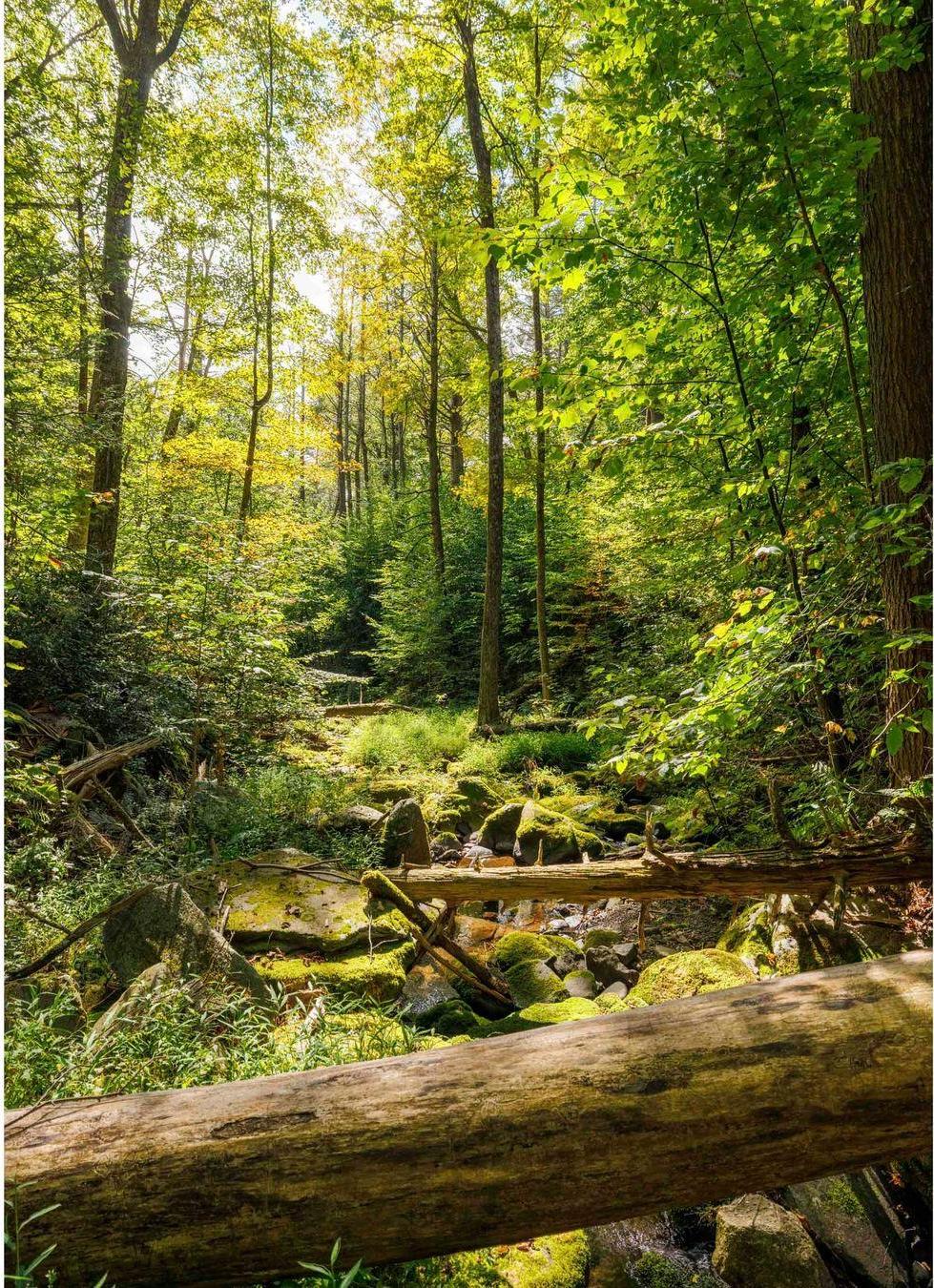 Single Family Trails End Ulster County, NY 12446, MLS-913296-21