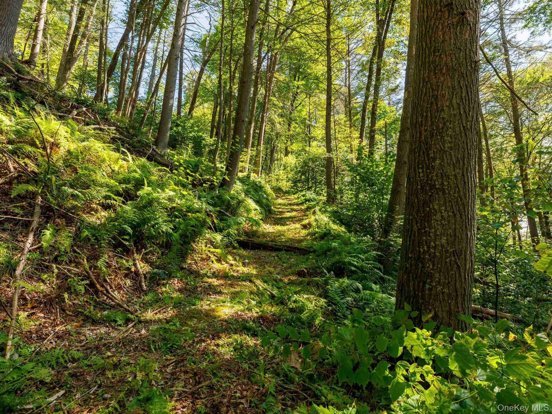 Single Family Trails End Ulster County, NY 12446, MLS-913296-4