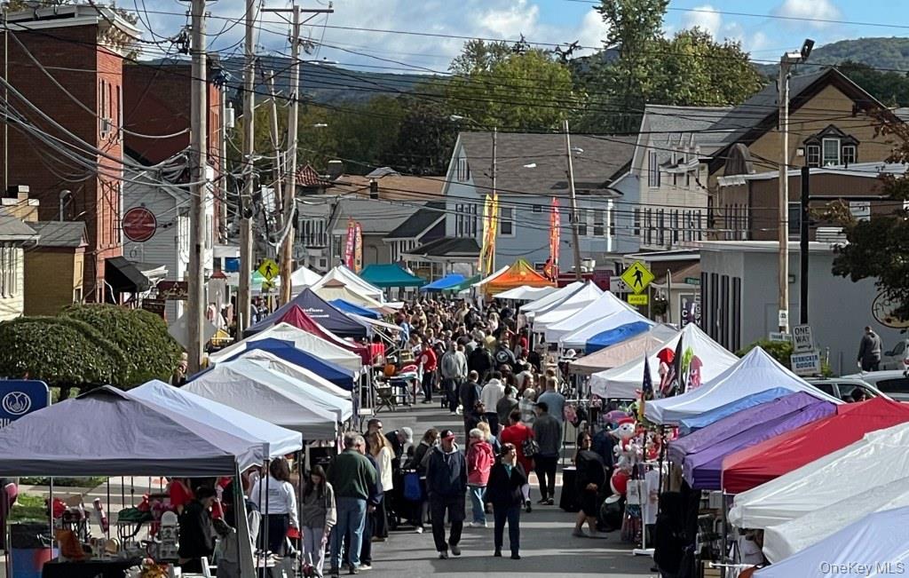 Single Family River Orange County, NY 12520, MLS-913304-29