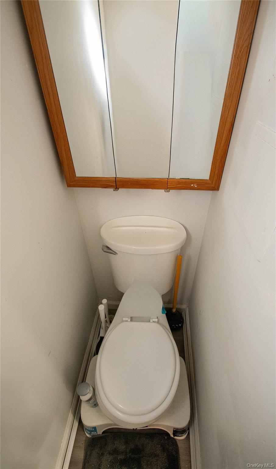 Single Family Lewis Orange County, NY 10963, MLS-913335-10