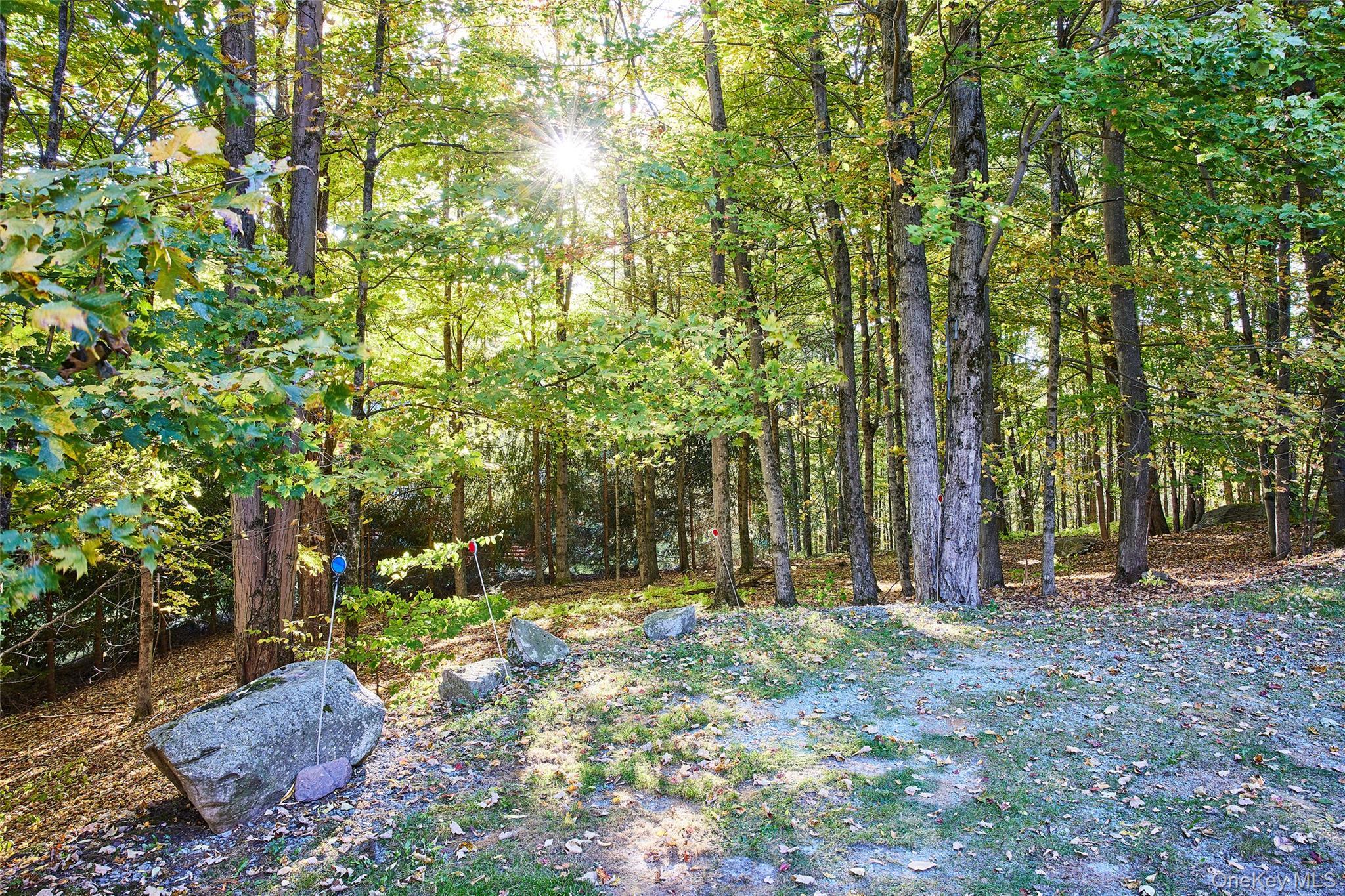 Single Family Meyer  Sullivan County, NY 12758, MLS-913348-26