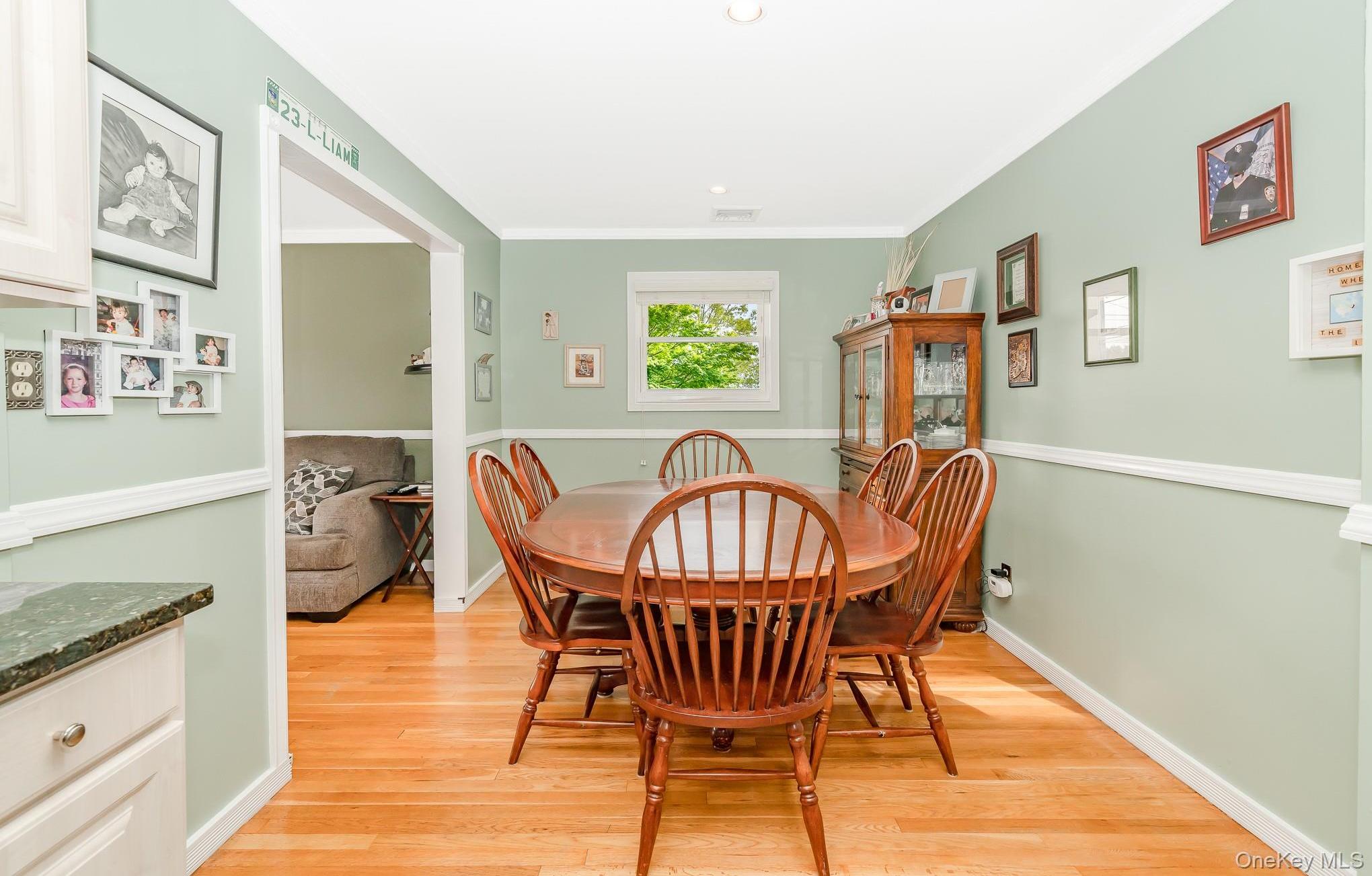 Single Family Roanoke Nassau County, NY 11783, MLS-913508-13