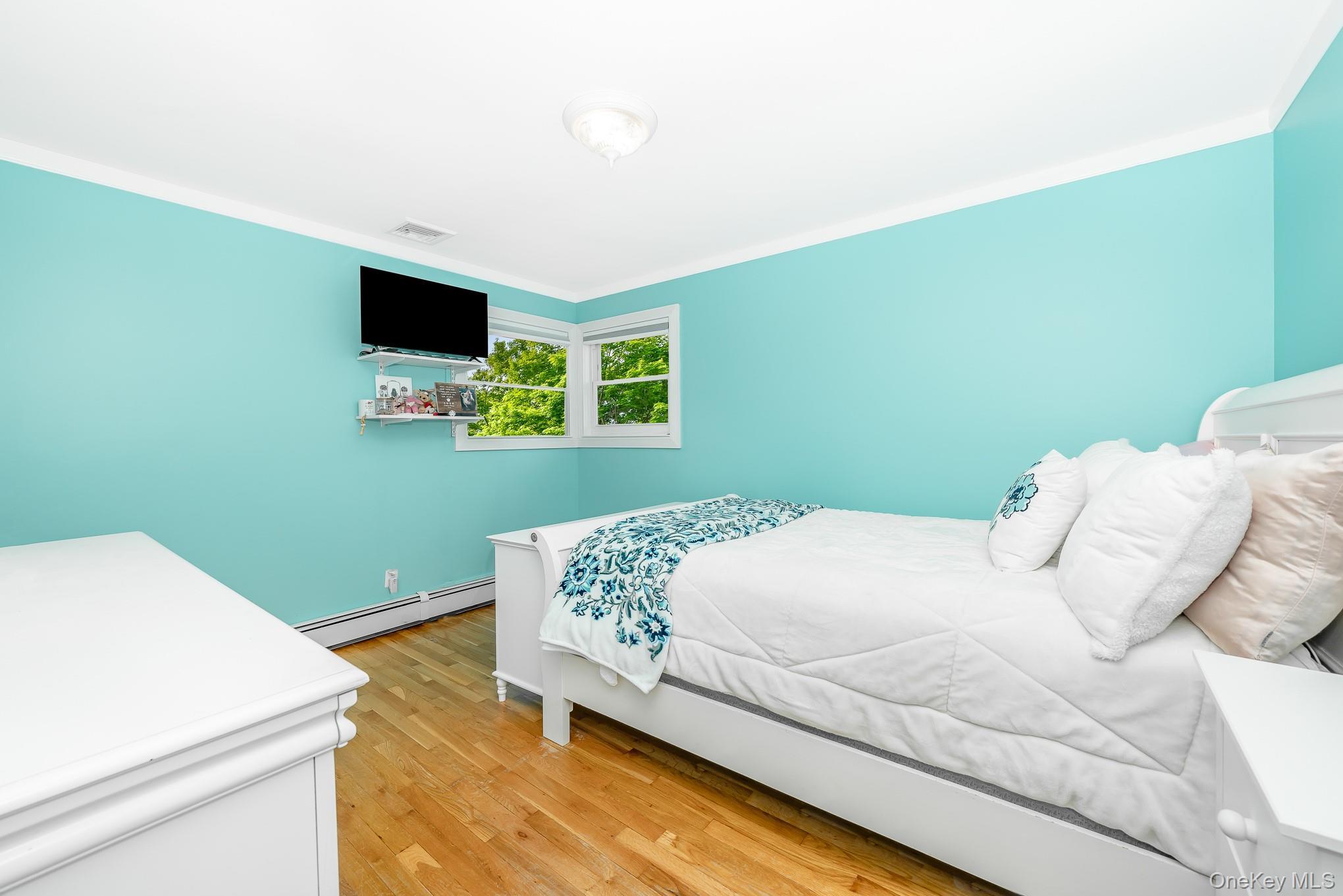 Single Family Roanoke Nassau County, NY 11783, MLS-913508-17