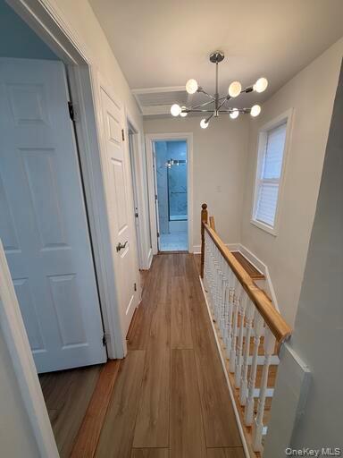 Single Family Linden Blvd Queens, NY 11434, MLS-913548-18